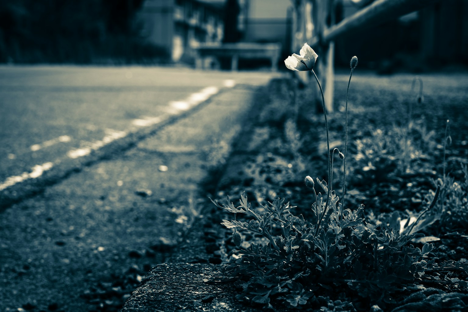 photo-4qzn4aOw7dDZ8tydz8AN-image