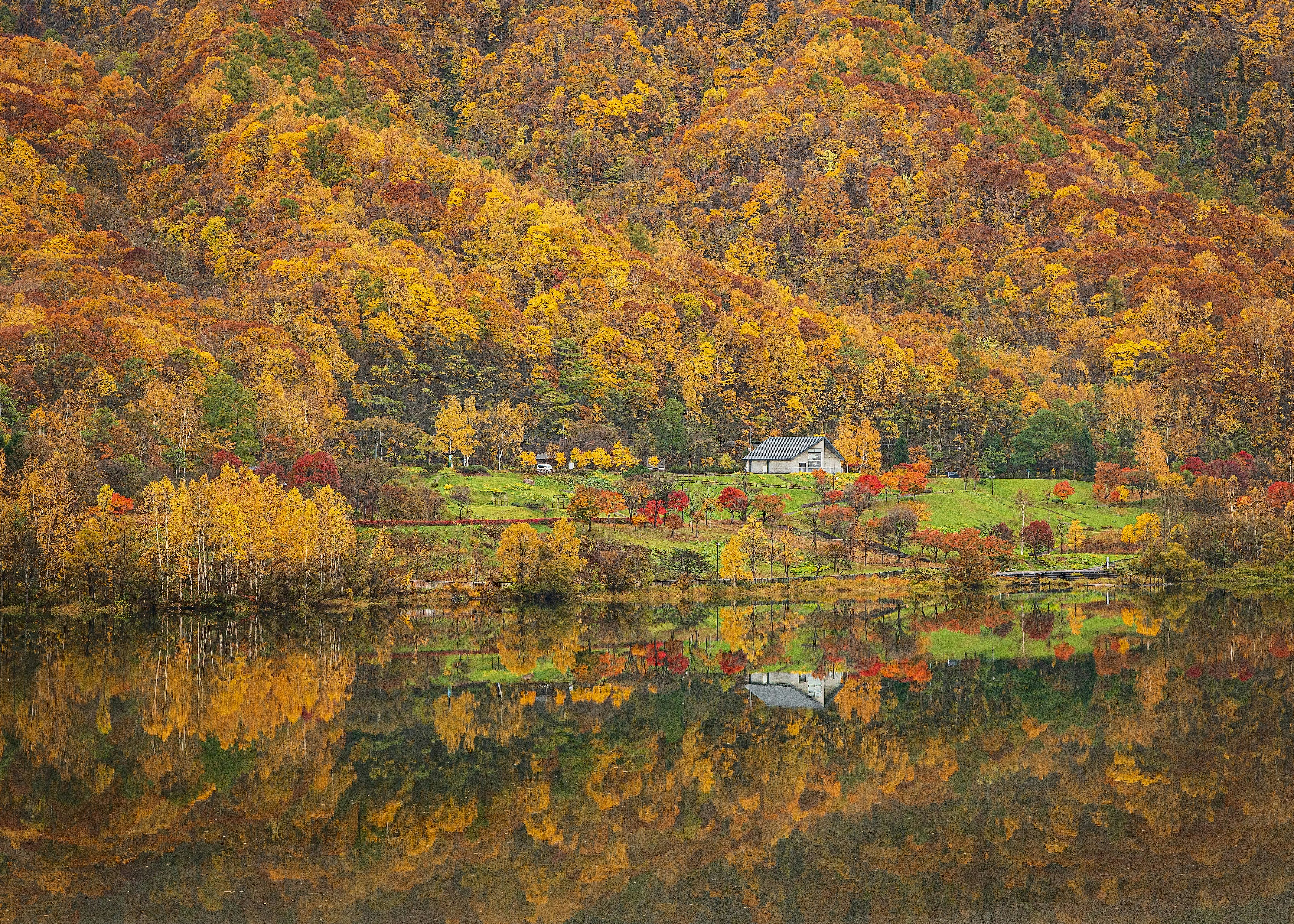 紅葉の森と川面に映る田園の家々の風景