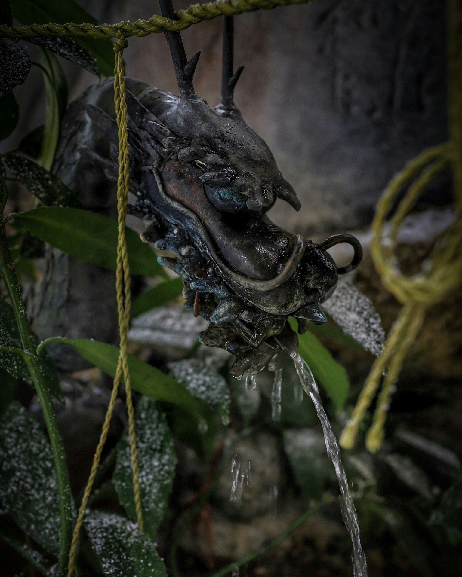 Dragon sculpture spouting water surrounded by green plants