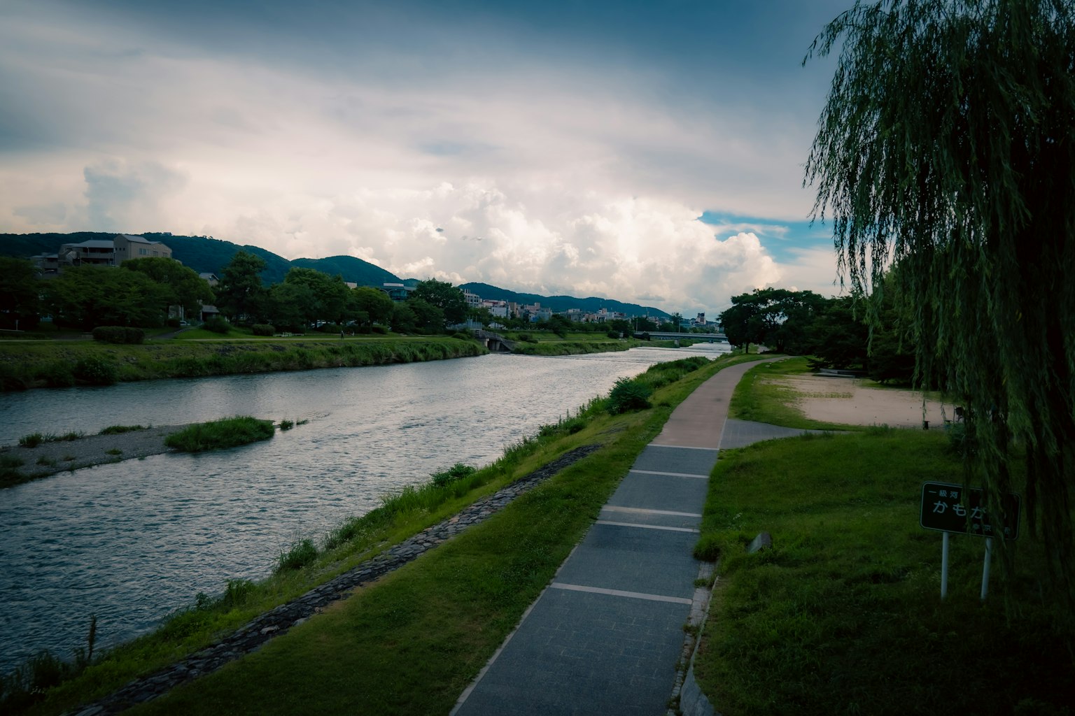 川沿いの遊歩道と緑の風景が広がる風景