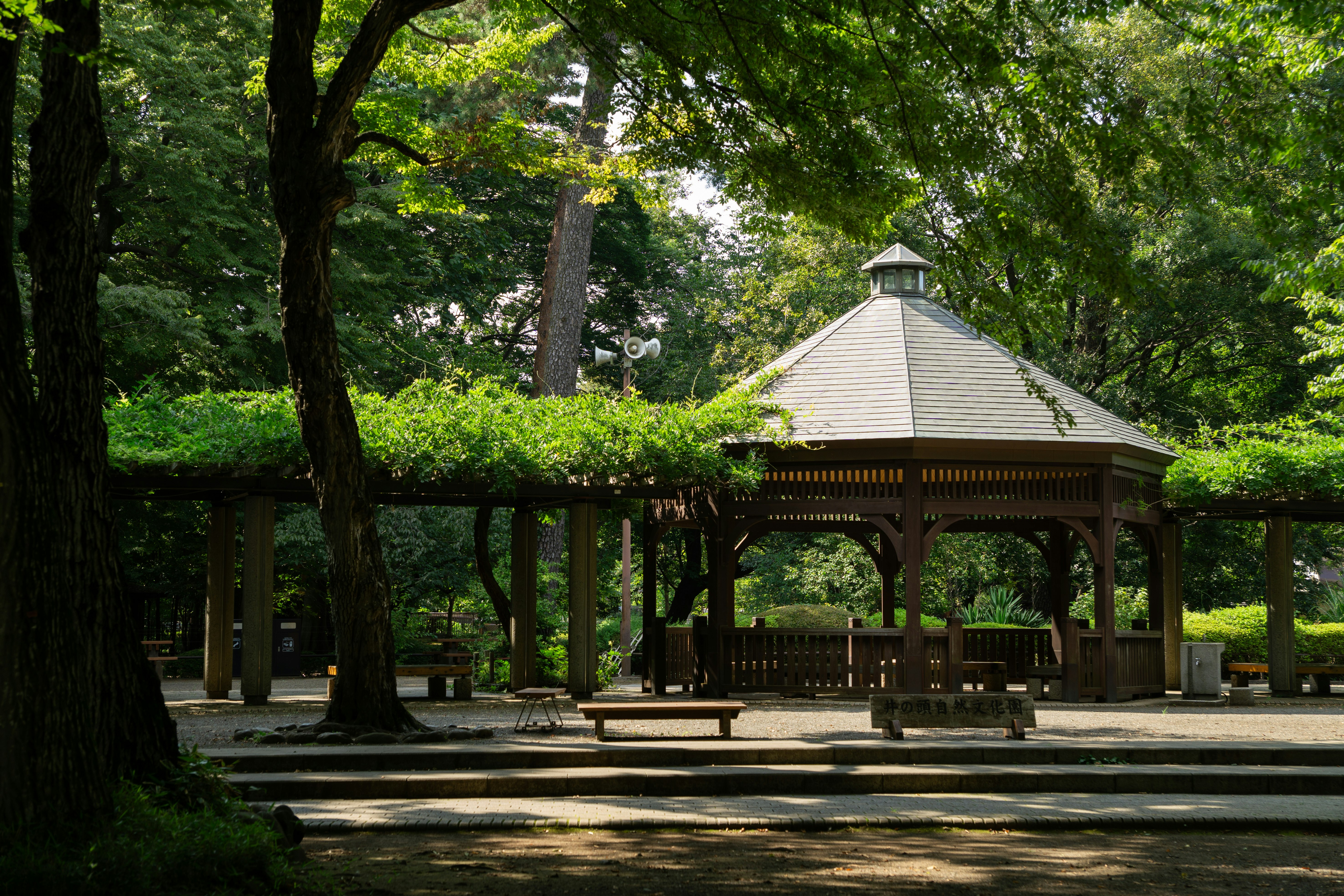 木々に囲まれた緑の公園の休憩用ベンチと小屋