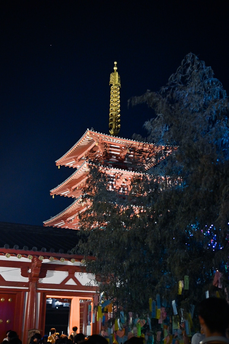 夜间照亮的五层宝塔和树木轮廓