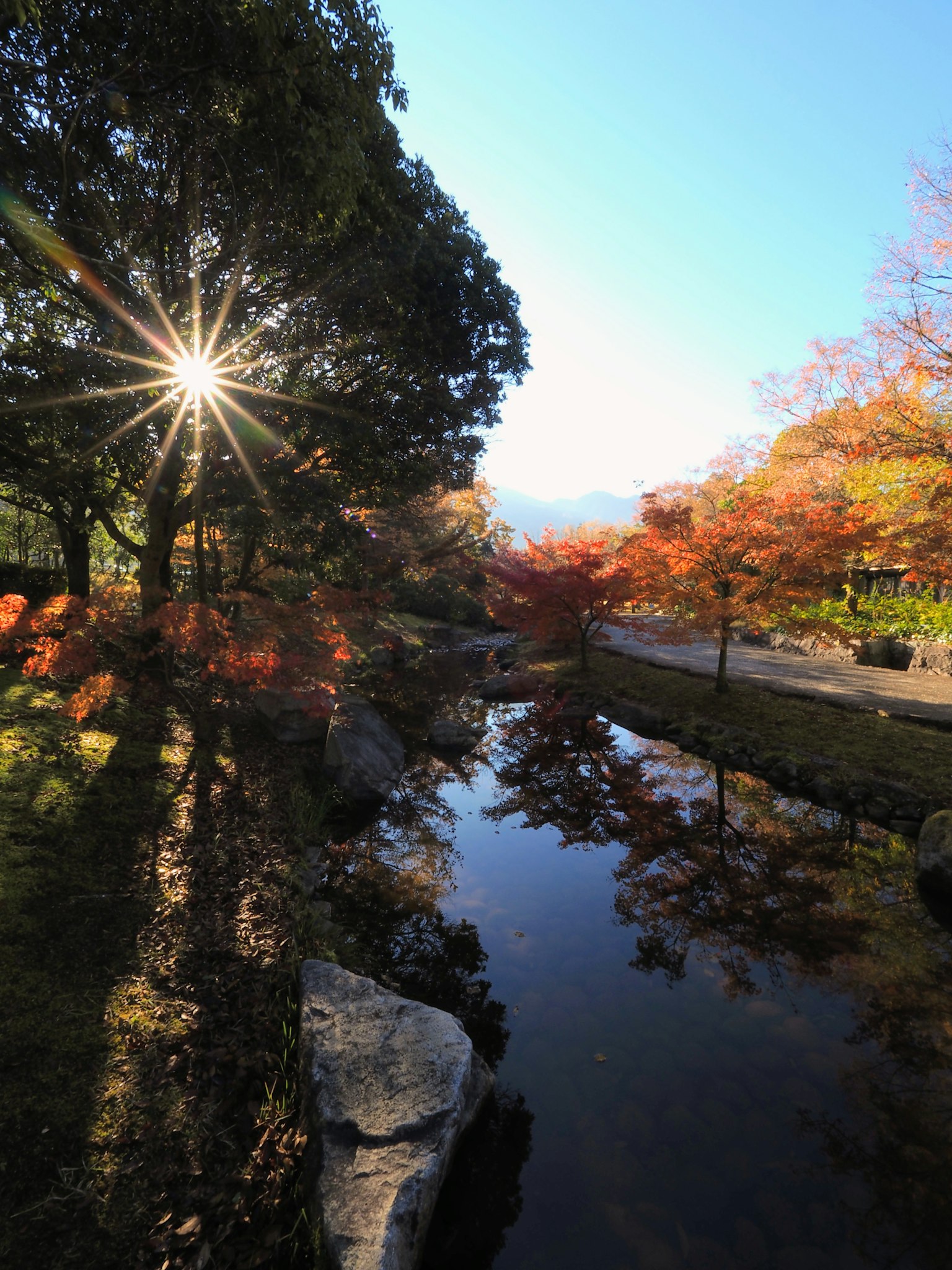 Autumn landscape with shining sun and colorful trees reflected in a stream
