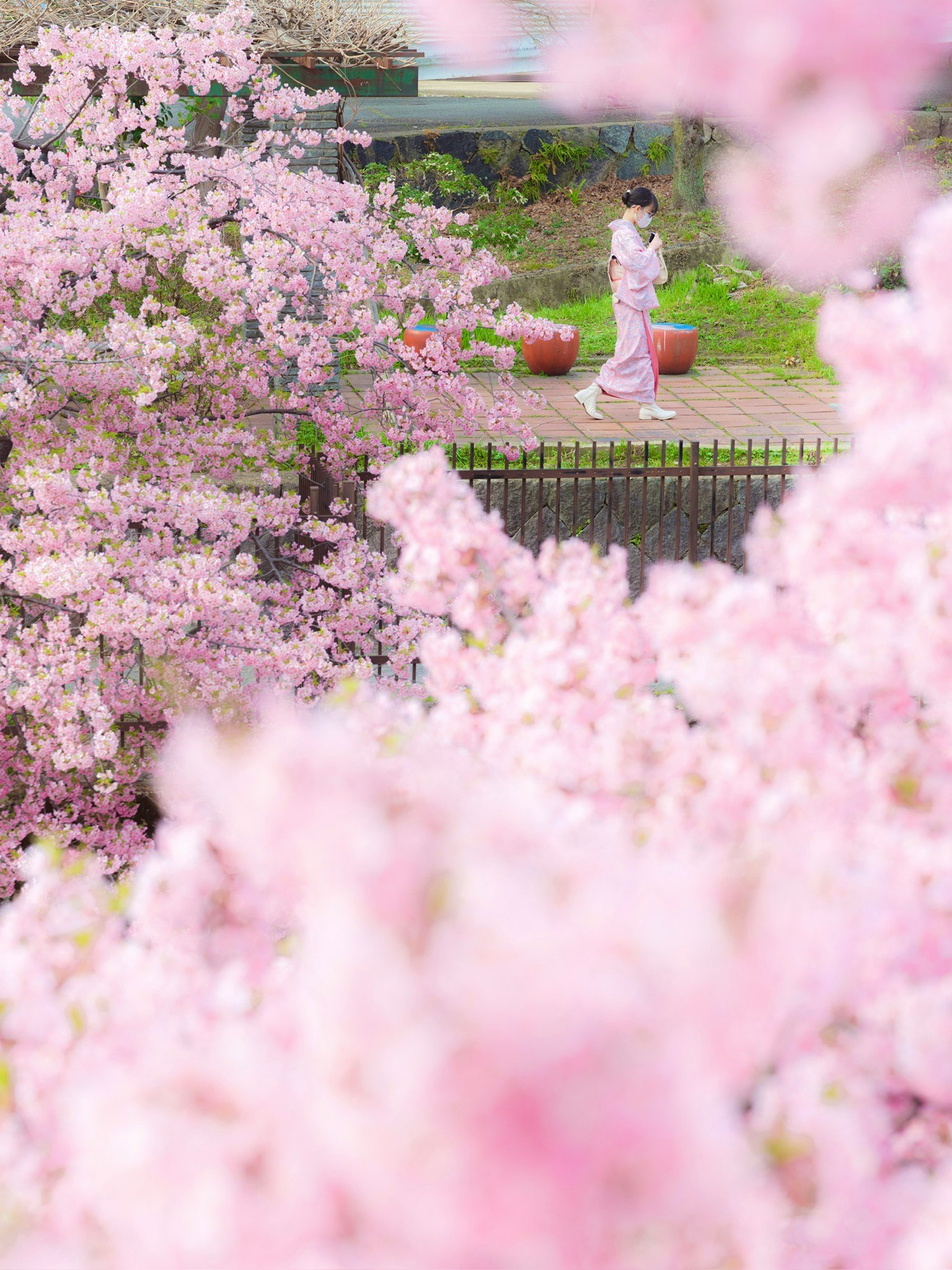 ピンクの花に囲まれた庭園で春を飾る子ども