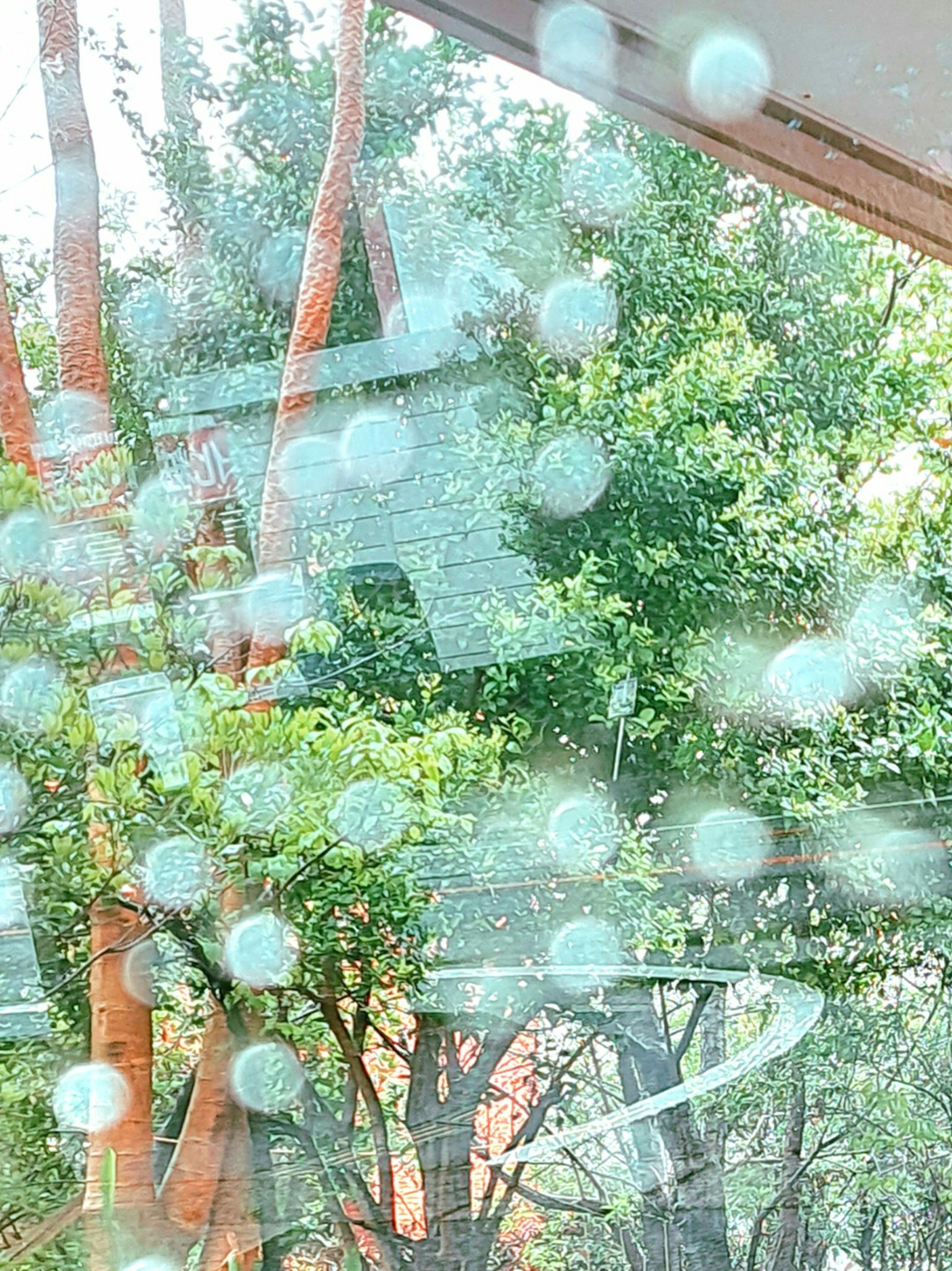 มุมมองของต้นไม้สีเขียวผ่านหน้าต่างที่มีหยดน้ำ