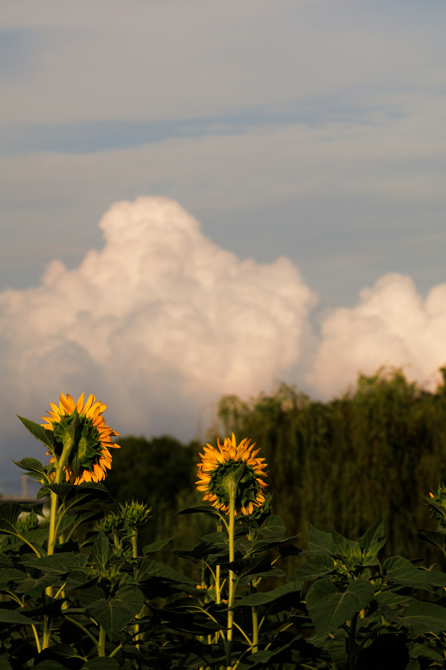 photo-4u05alAo8I5vYkK2qkt2-image