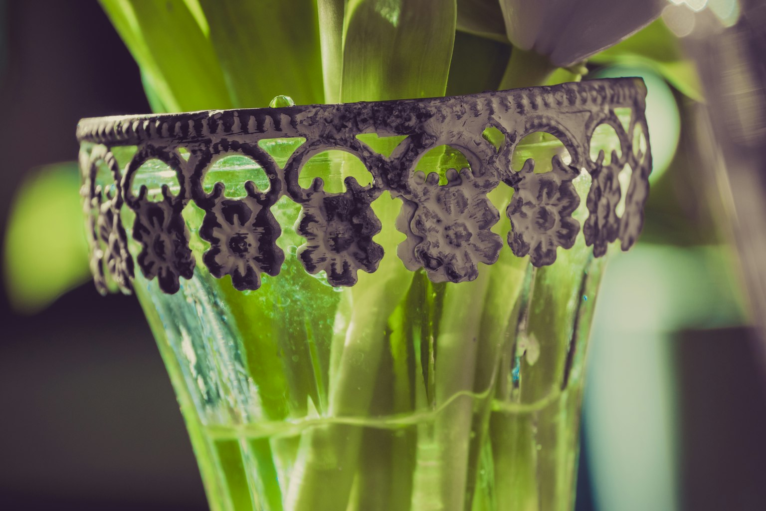 Primo piano di un vaso verde con bordo metallico decorativo