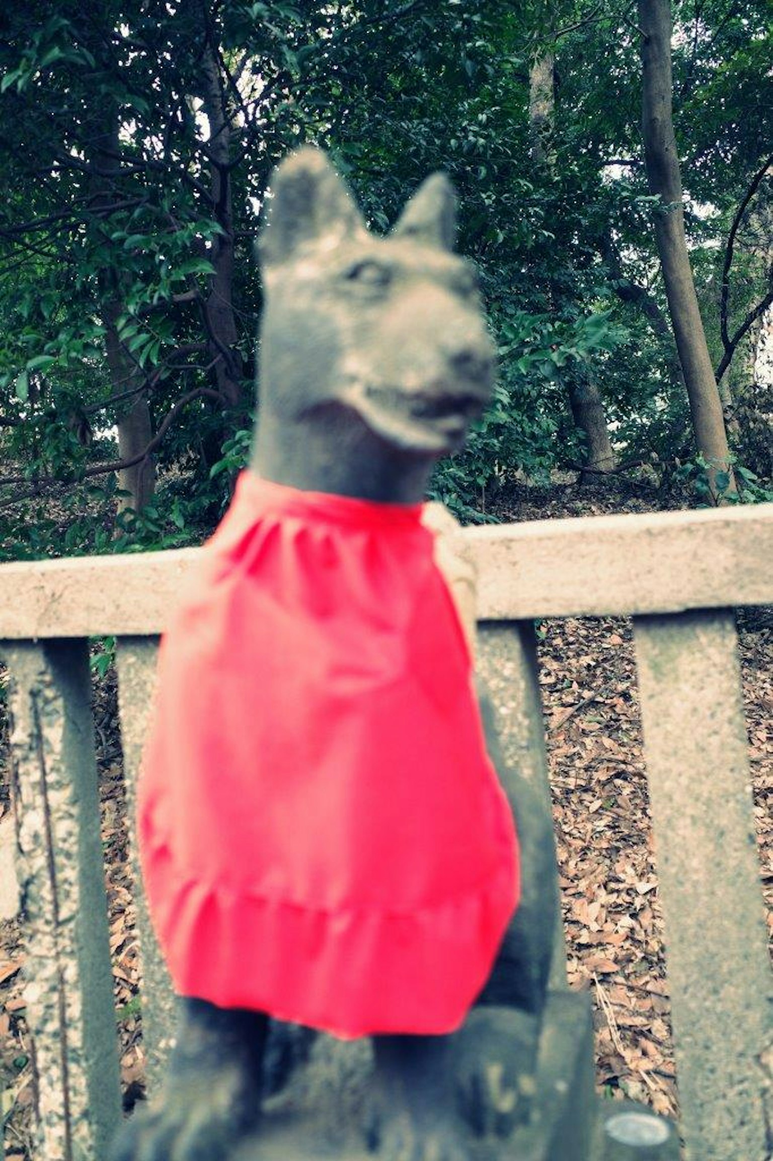 一只穿着红色衣服的狗雕像被树木环绕
