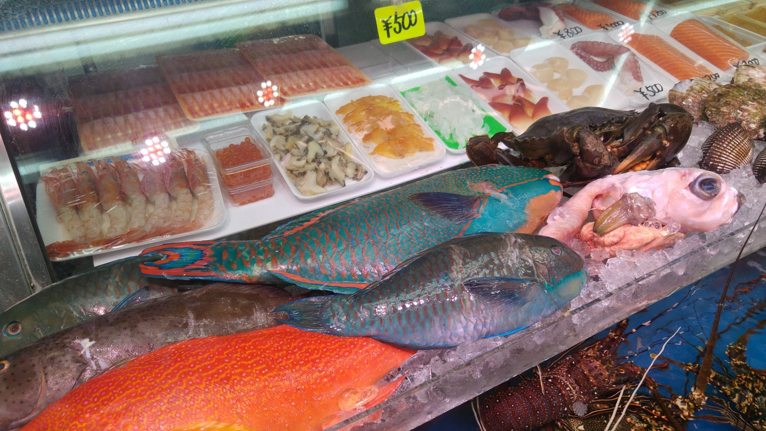 市場冰箱中展示的彩色魚類和海鮮