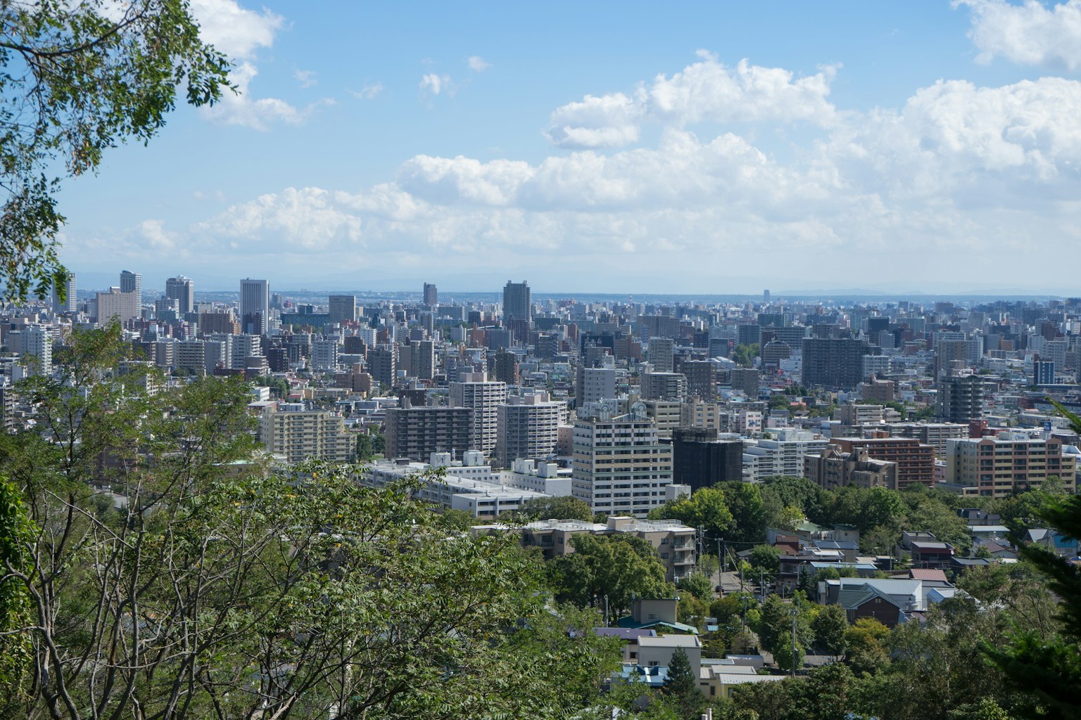 Pemandangan panorama skyline kota dengan langit biru dan pohon hijau