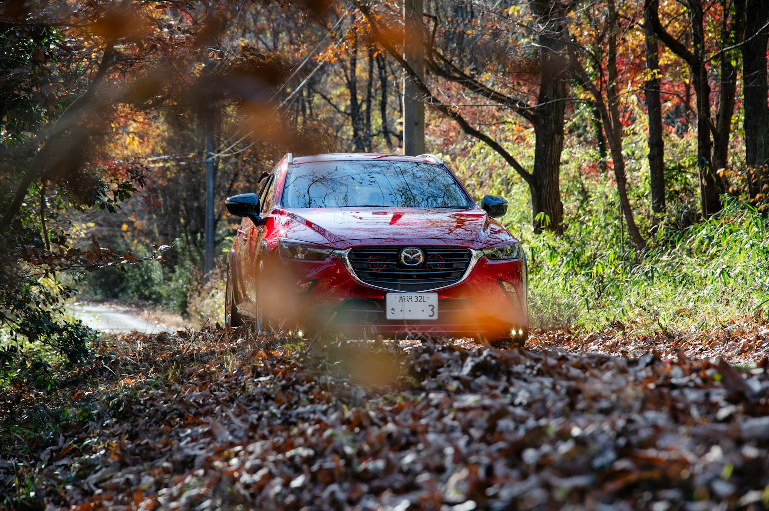Xe Mazda màu đỏ đang di chuyển trên con đường trong rừng được bao quanh bởi lá mùa thu
