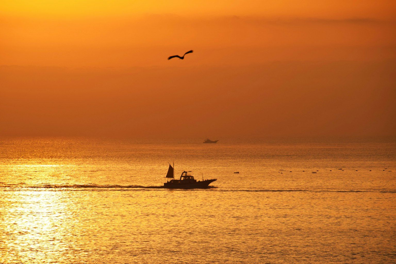 Thuyền trên biển vào lúc hoàng hôn với một con chim bay