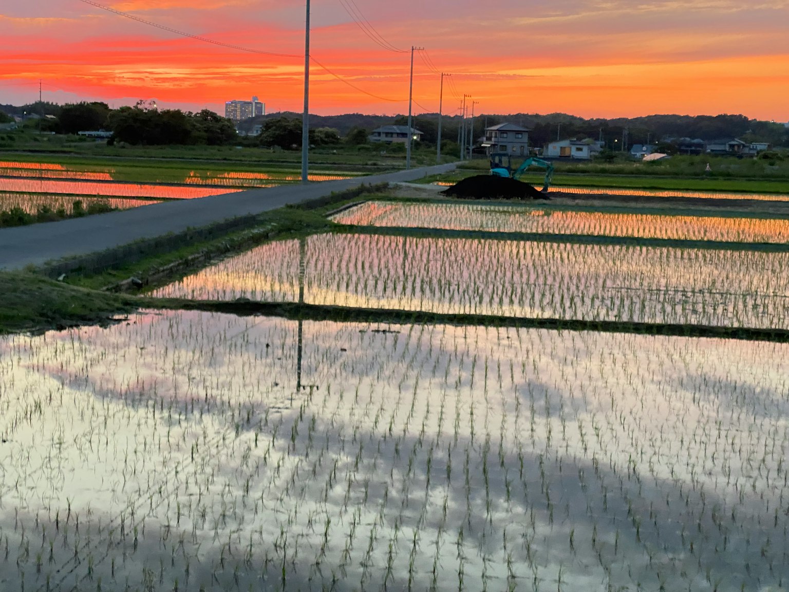 Pemandangan sawah yang mencerminkan matahari terbenam dan jalan