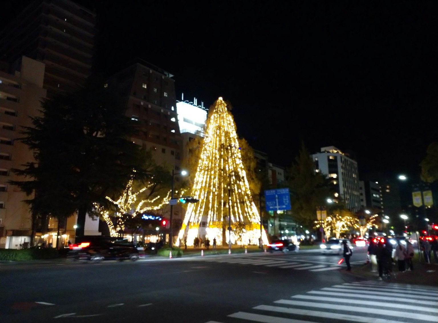 Árbol de Navidad iluminado por la noche con luces de la ciudad alrededor