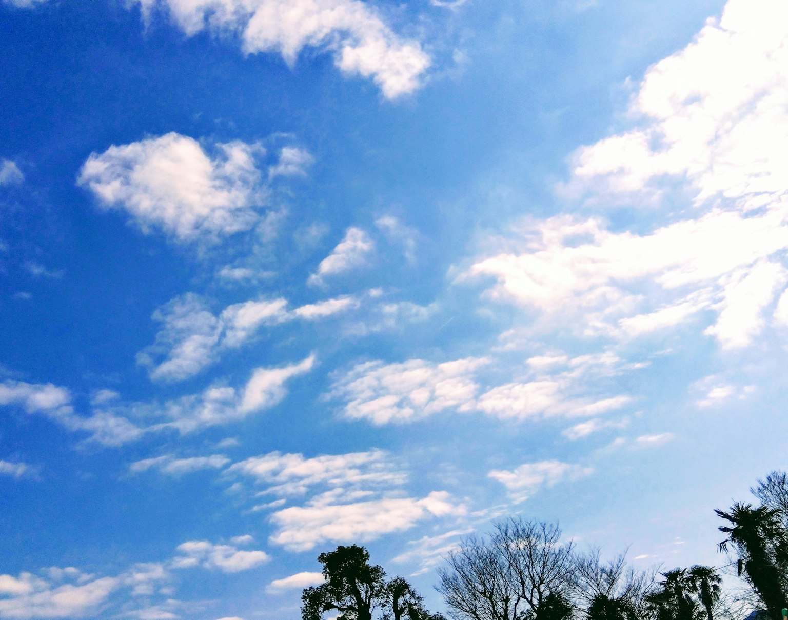 Langit biru cerah dengan awan putih berbulu