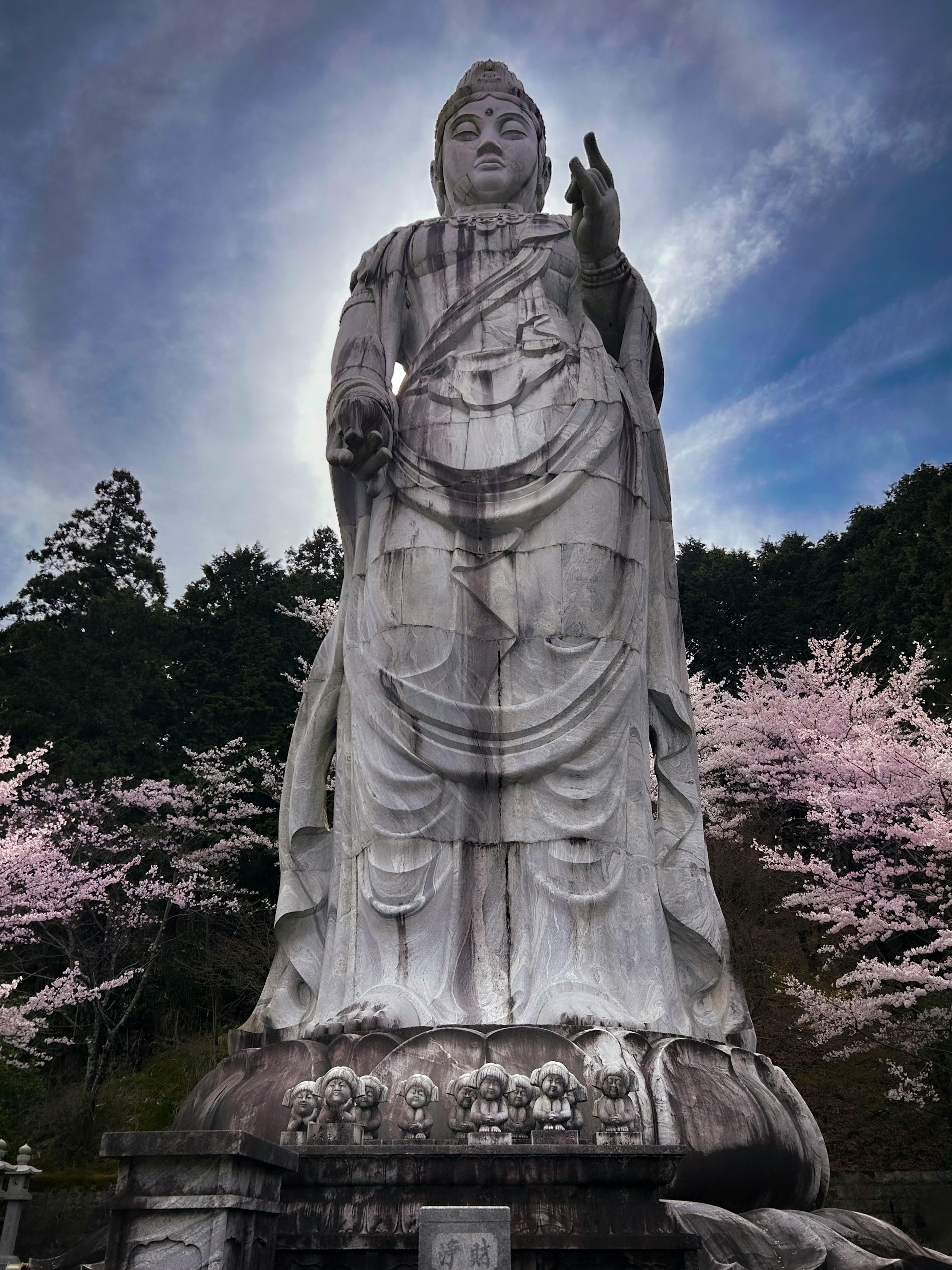 春の壺阪寺で咲く桜と立つ大きな仏像の景色