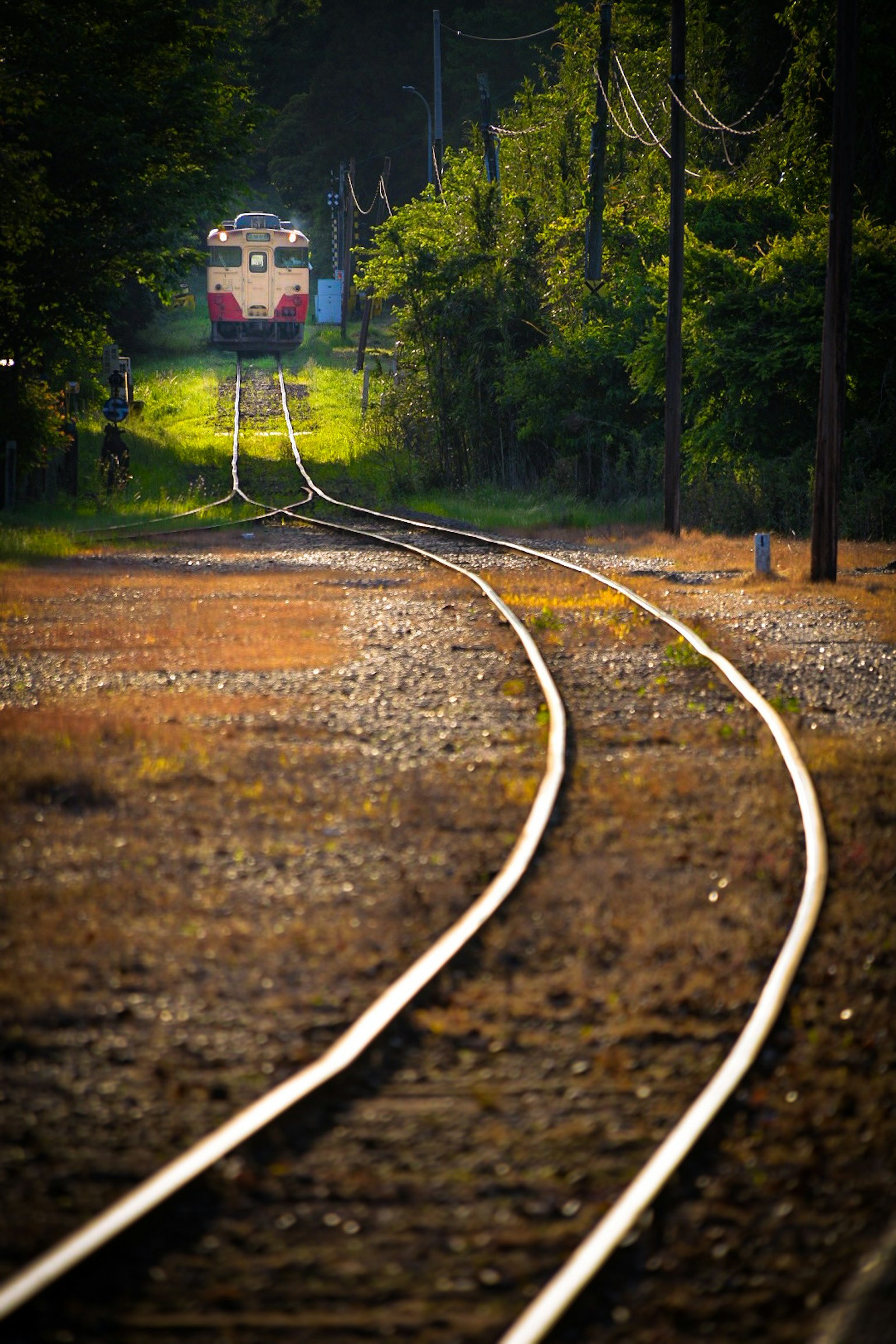 Curved railway tracks surrounded by greenery with an approaching train in the distance