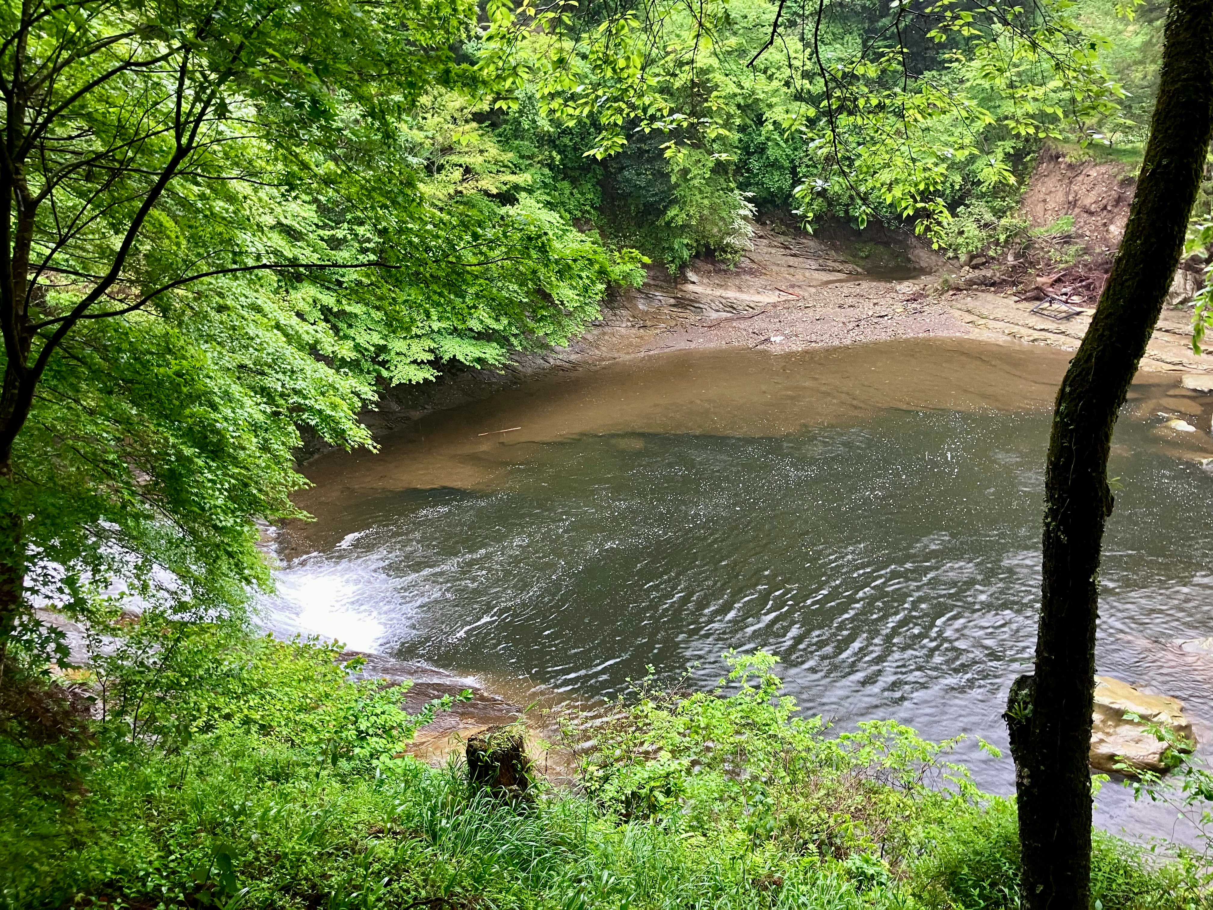 緑の木々に囲まれた川の流れと小さな渓流の曲がり角
