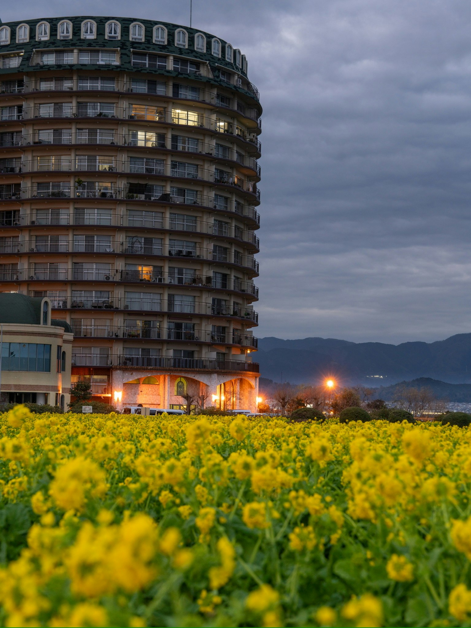 Alto edificio accanto a un campo di fiori di colza gialli sotto un cielo nuvoloso