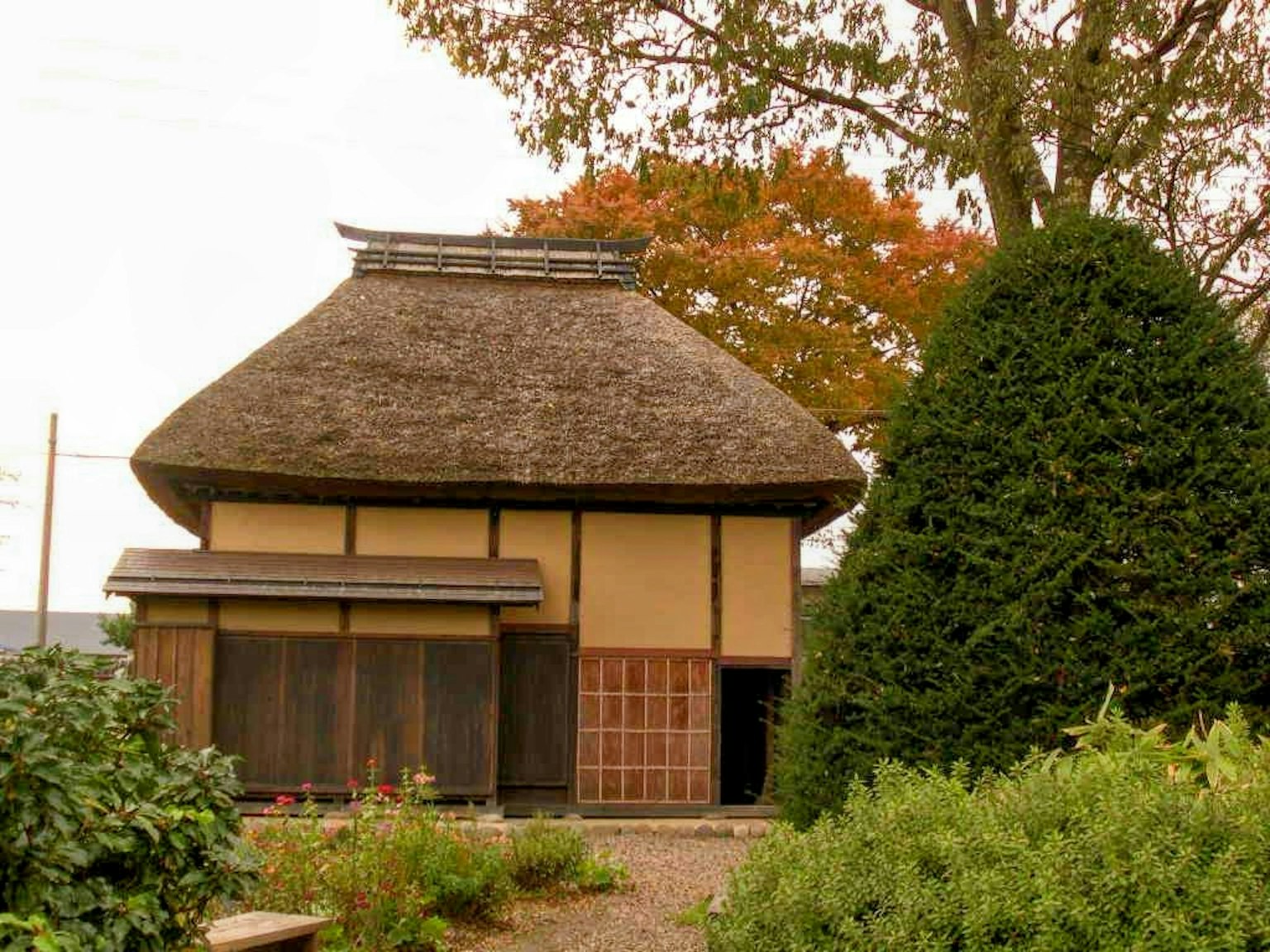 日本传统茅草屋建筑，周围环绕着绿植
