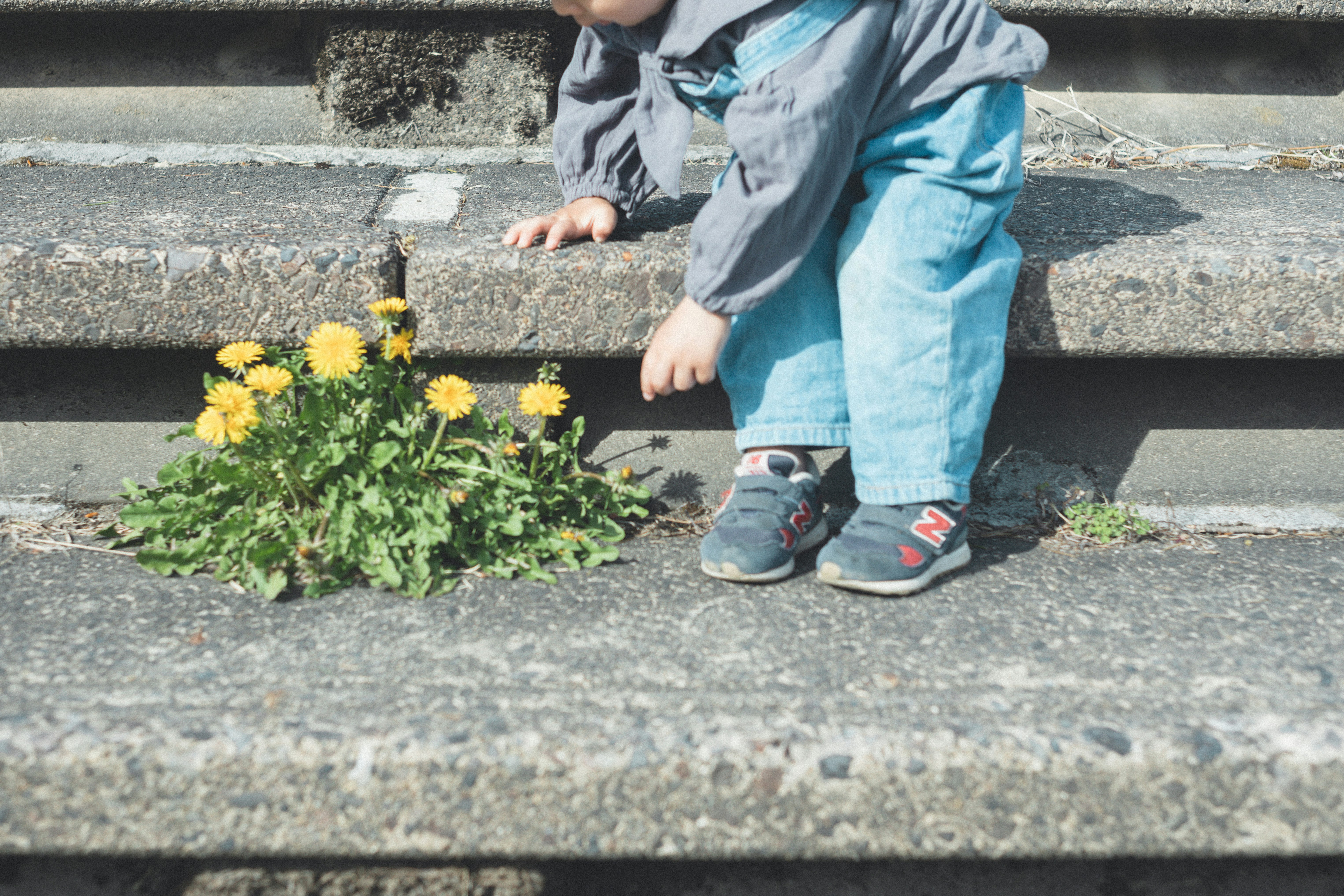 A child’s hands by yellow flowers on stone steps