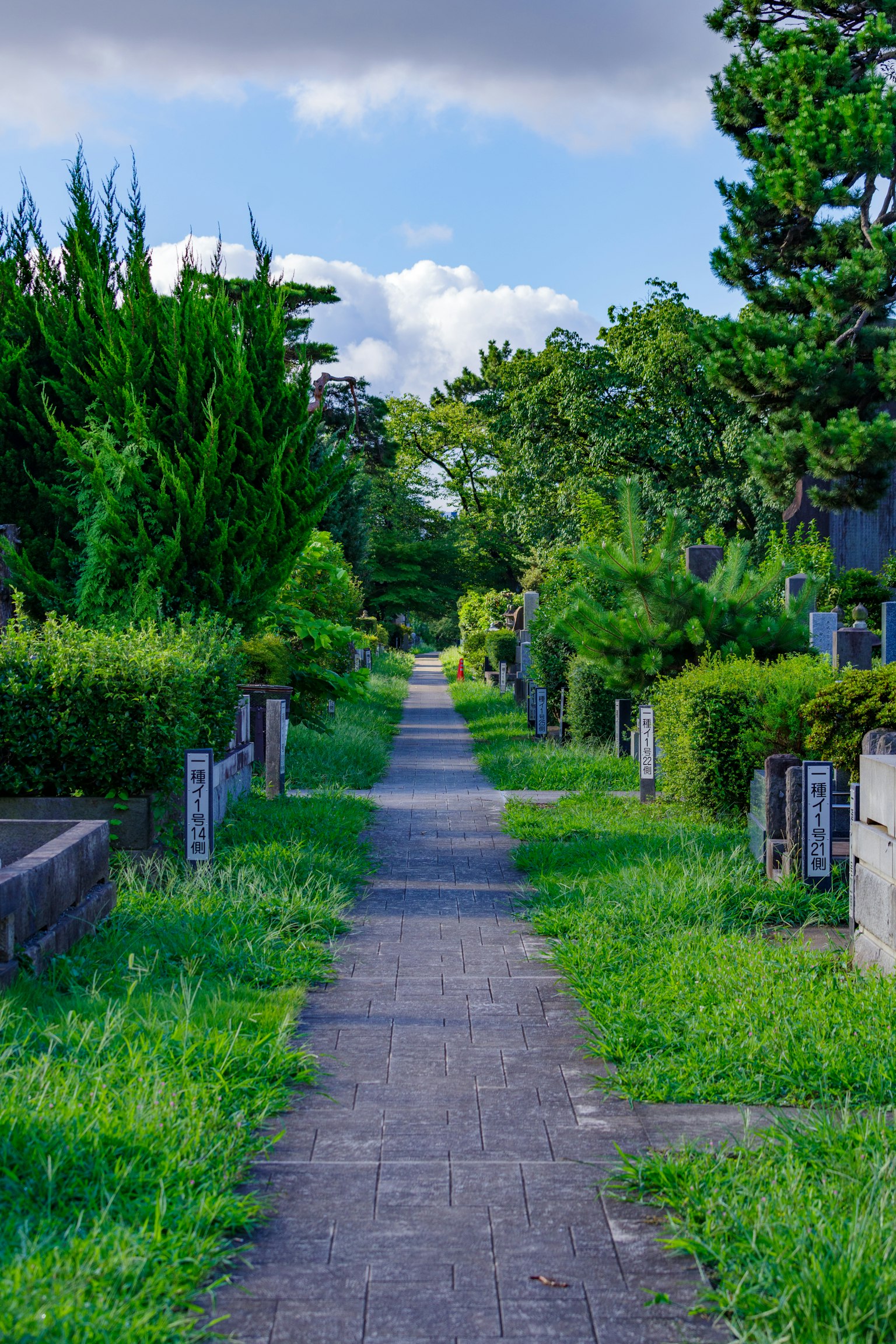 Un sentiero sereno in un cimitero fiancheggiato da verde e tombe