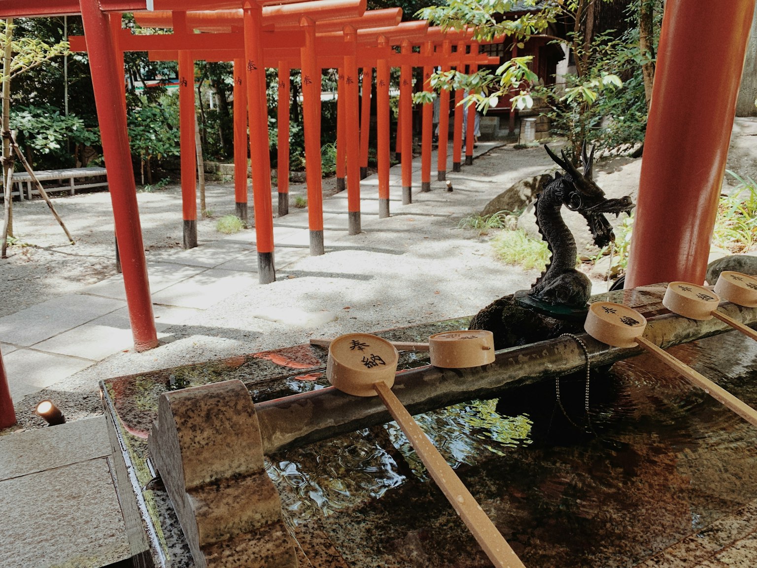 Scenic view of a shrine featuring red torii gates and a dragon water basin