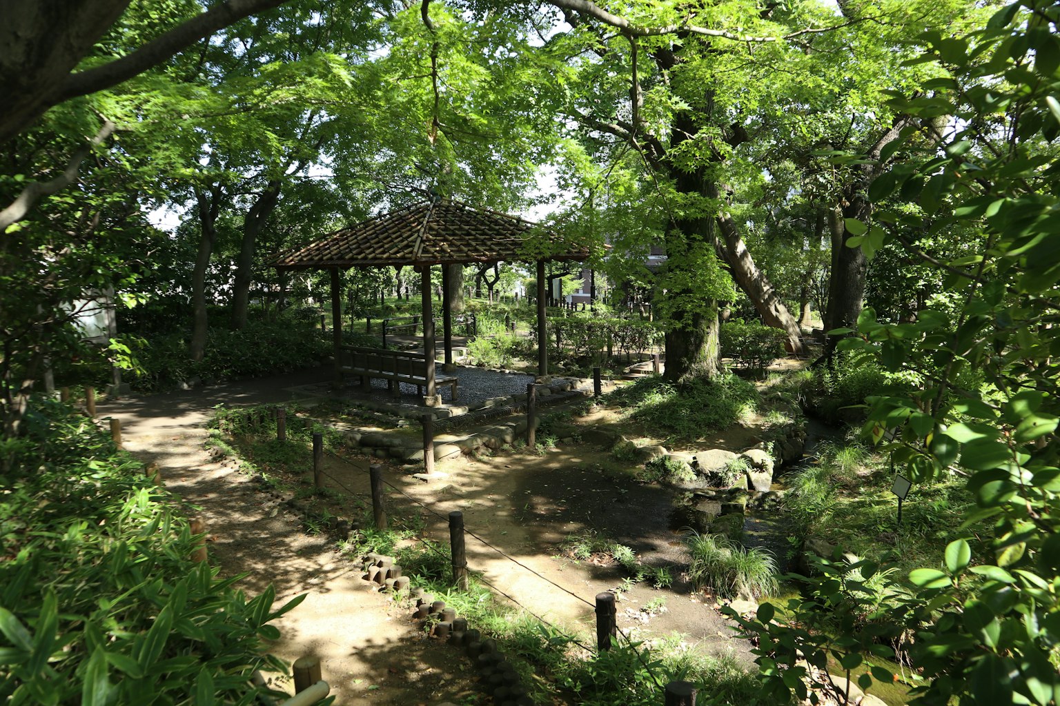 Vue pittoresque d'un chemin et d'un gazebo en bois dans un parc verdoyant