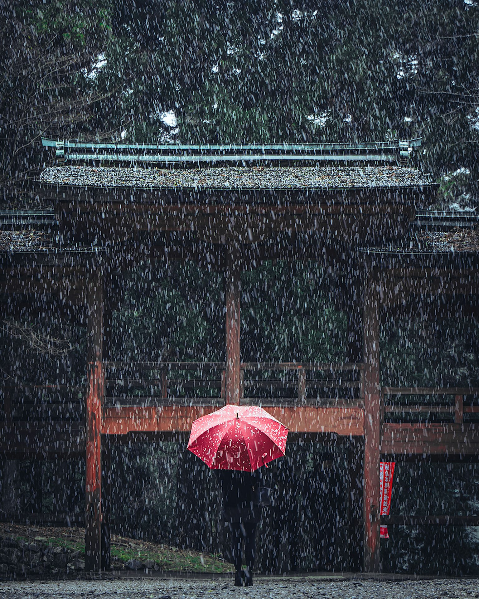拿著紅傘的人在神社門前的雪中行走