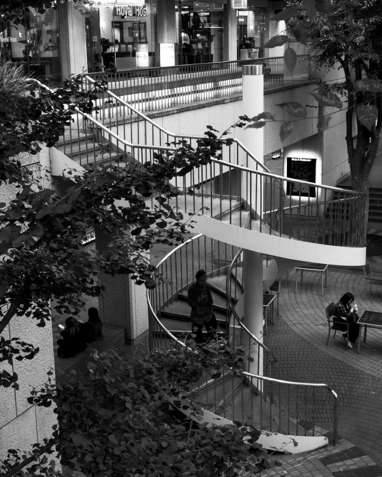 Scala a spirale in bianco e nero circondata da vegetazione in uno spazio interno