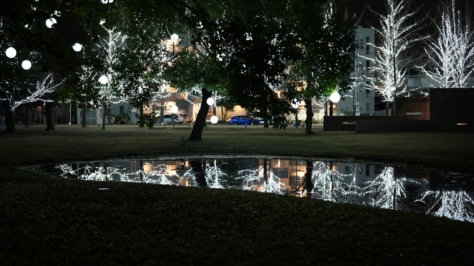 Parco notturno con luci bianche brillanti e riflessi degli alberi sull'acqua