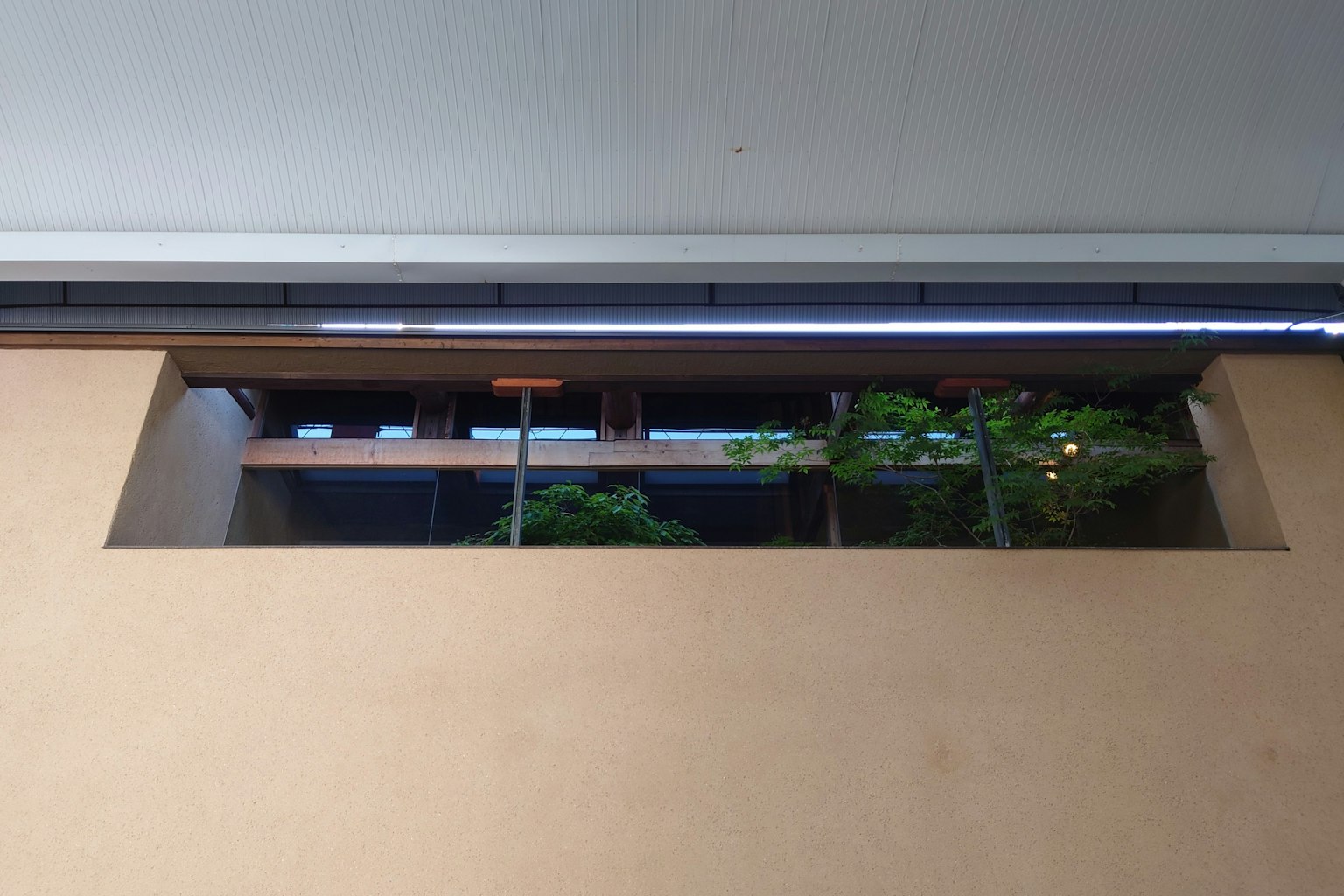 Blick auf Grün durch eine Fensteröffnung