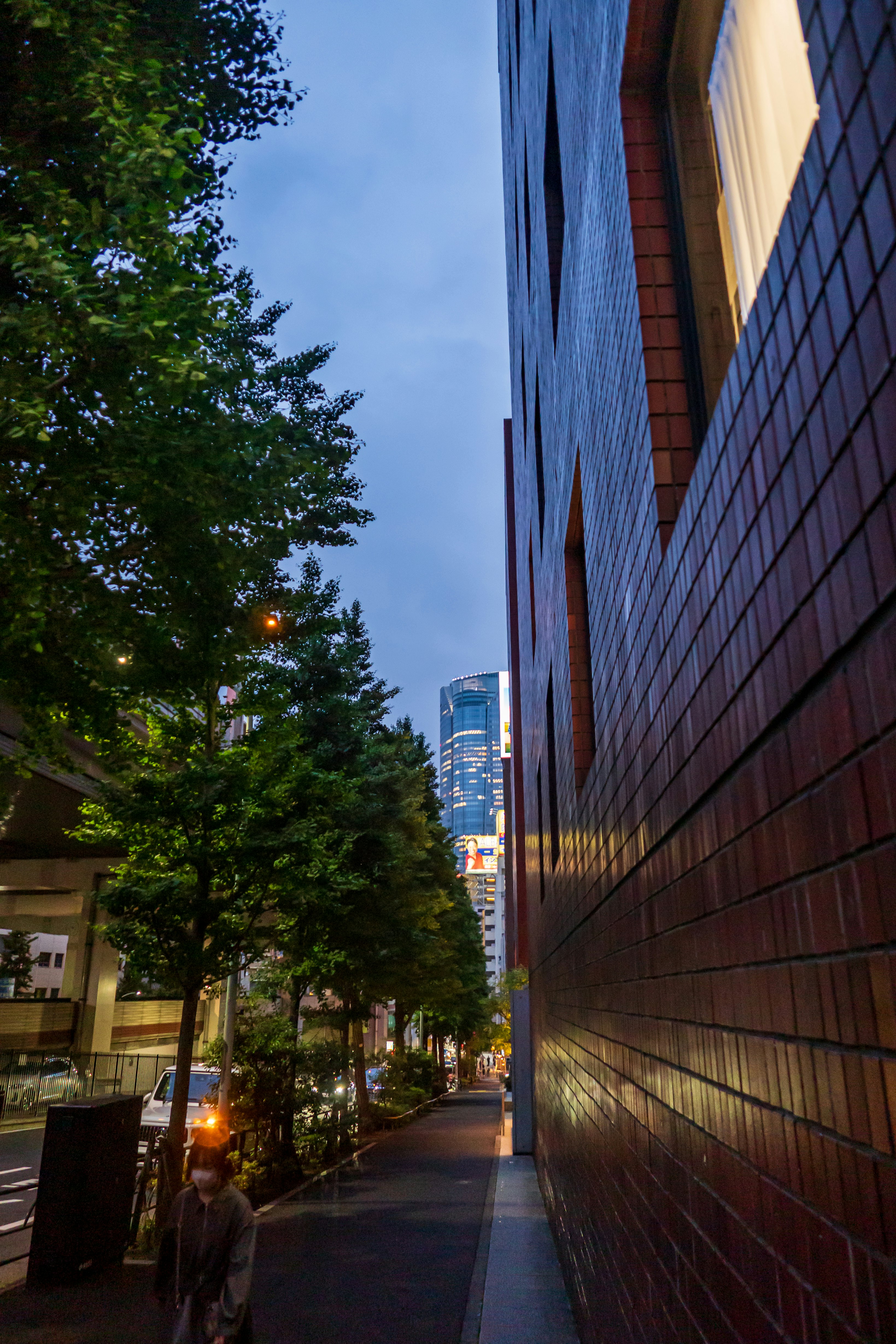 Nishiazabu alley with street trees and building facades