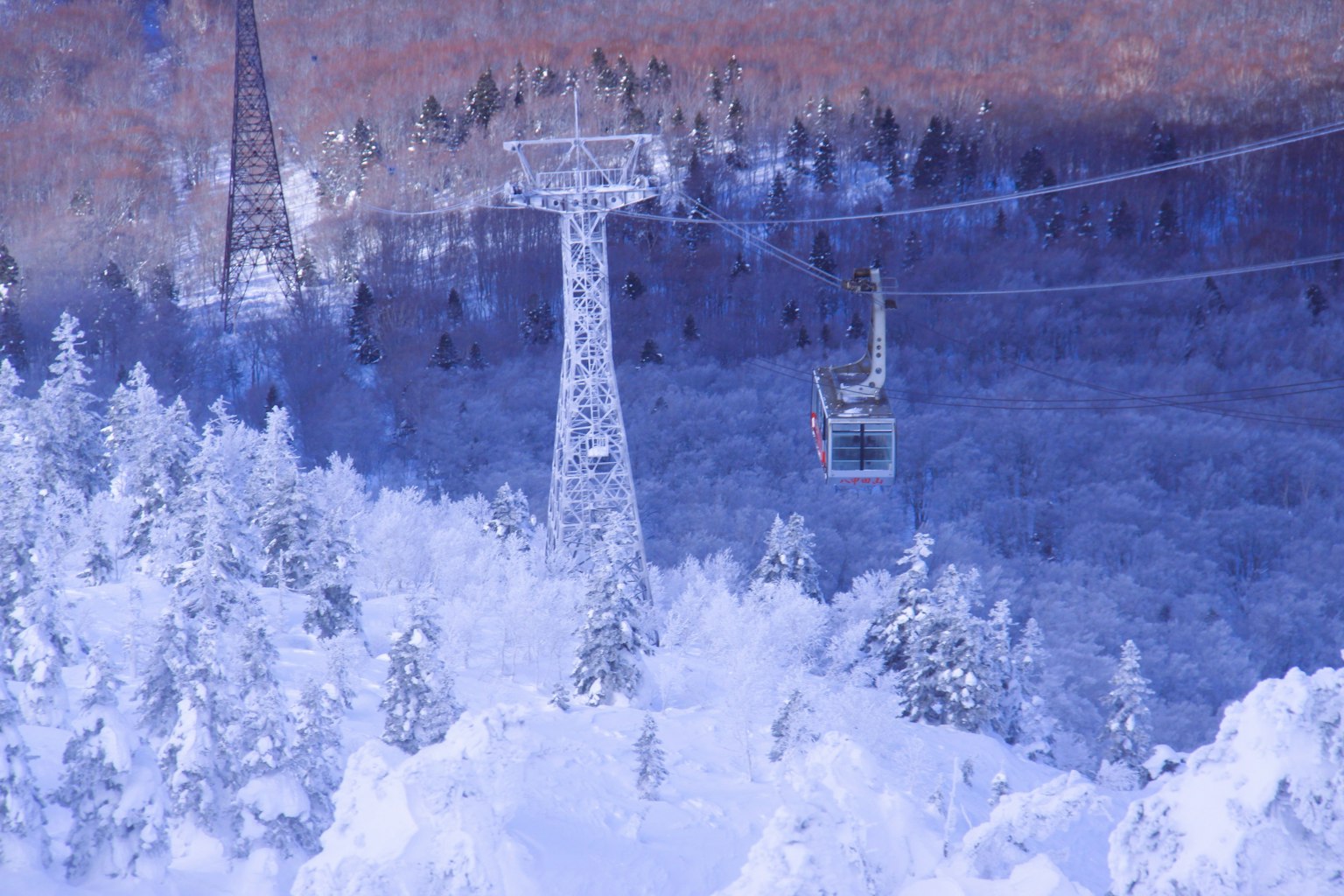 Un teleférico sobre montañas y árboles cubiertos de nieve