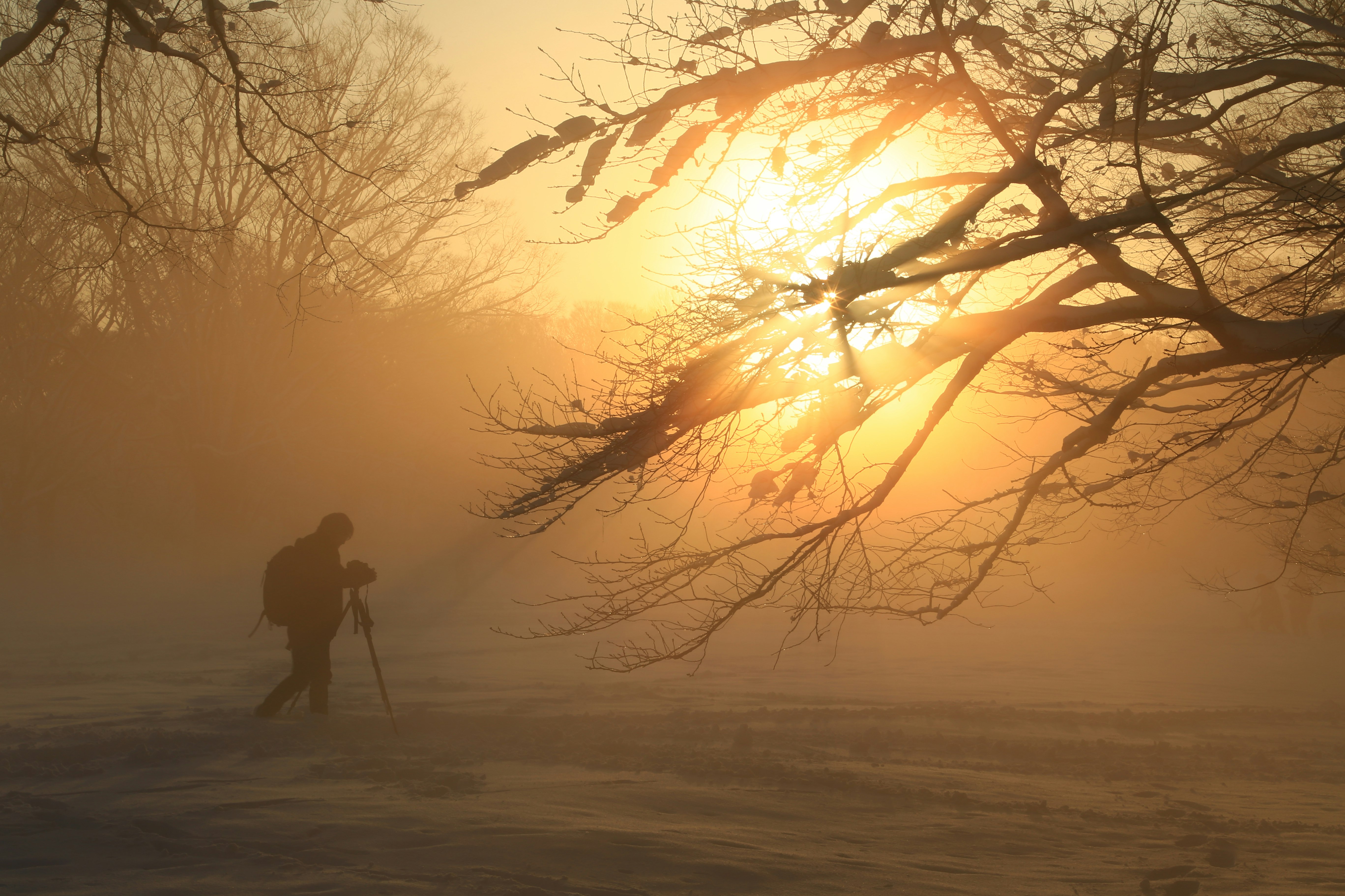 silhouetted photographer and trees in a snowy morning fog
