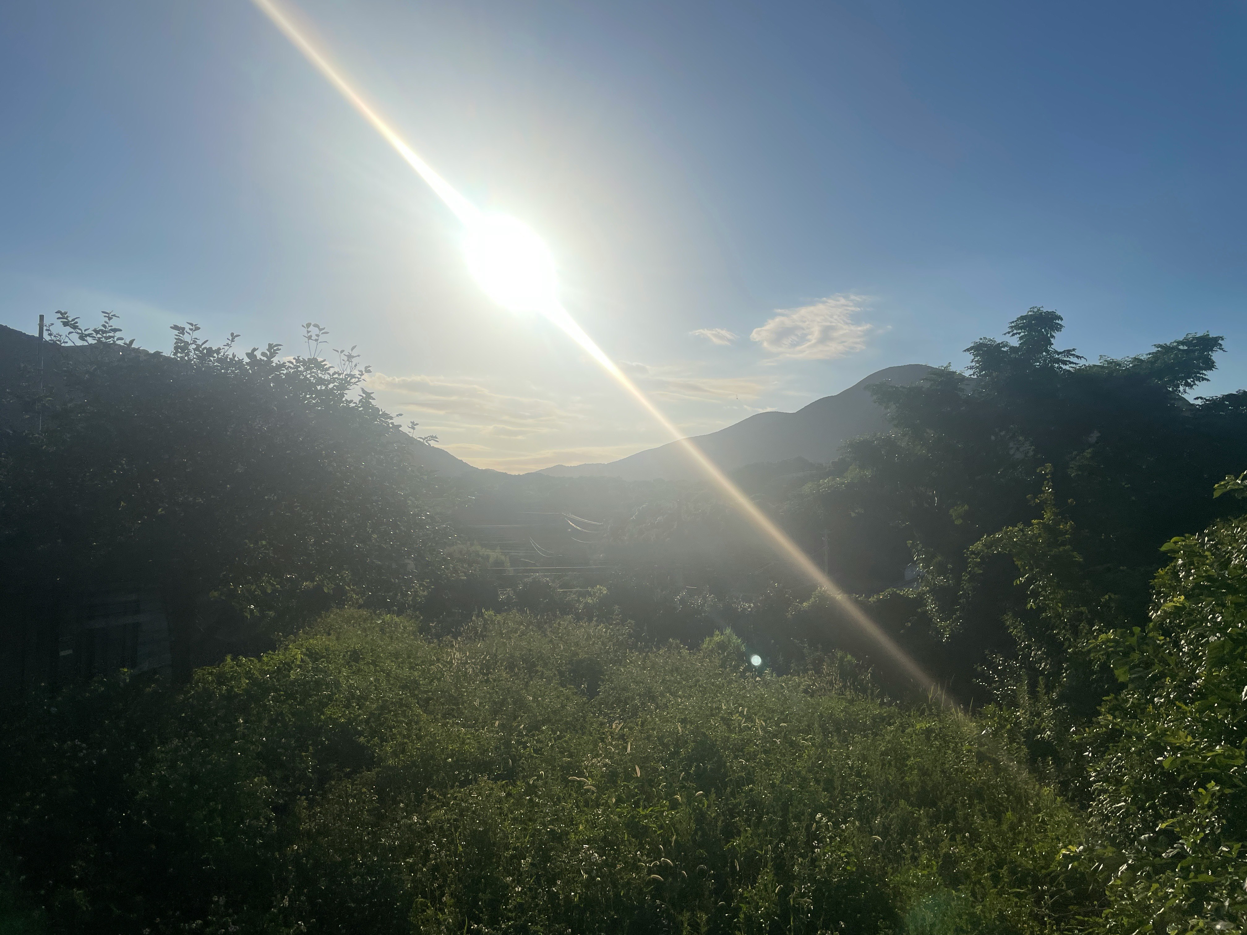 逆光の夏の緑に包まれた山あいの風景