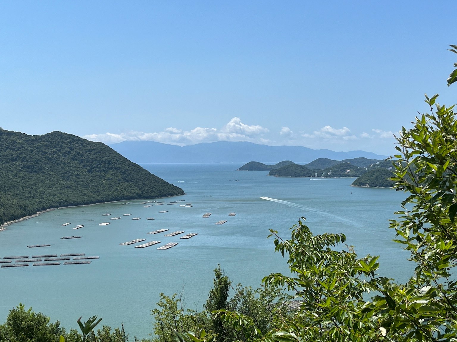 青山环绕下平静海洋的风景