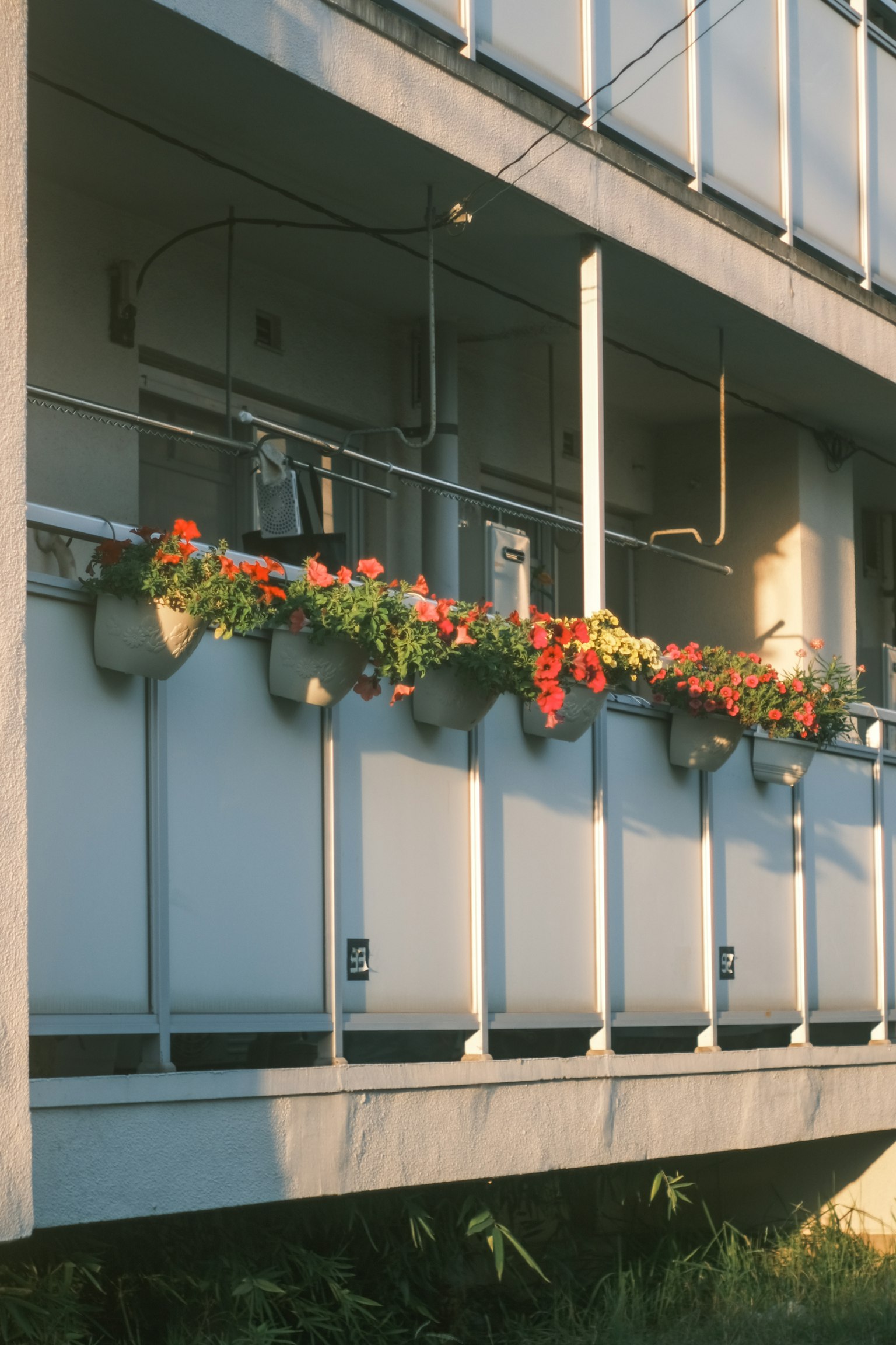 バルコニーに花が咲いている現代的な建物の外観
