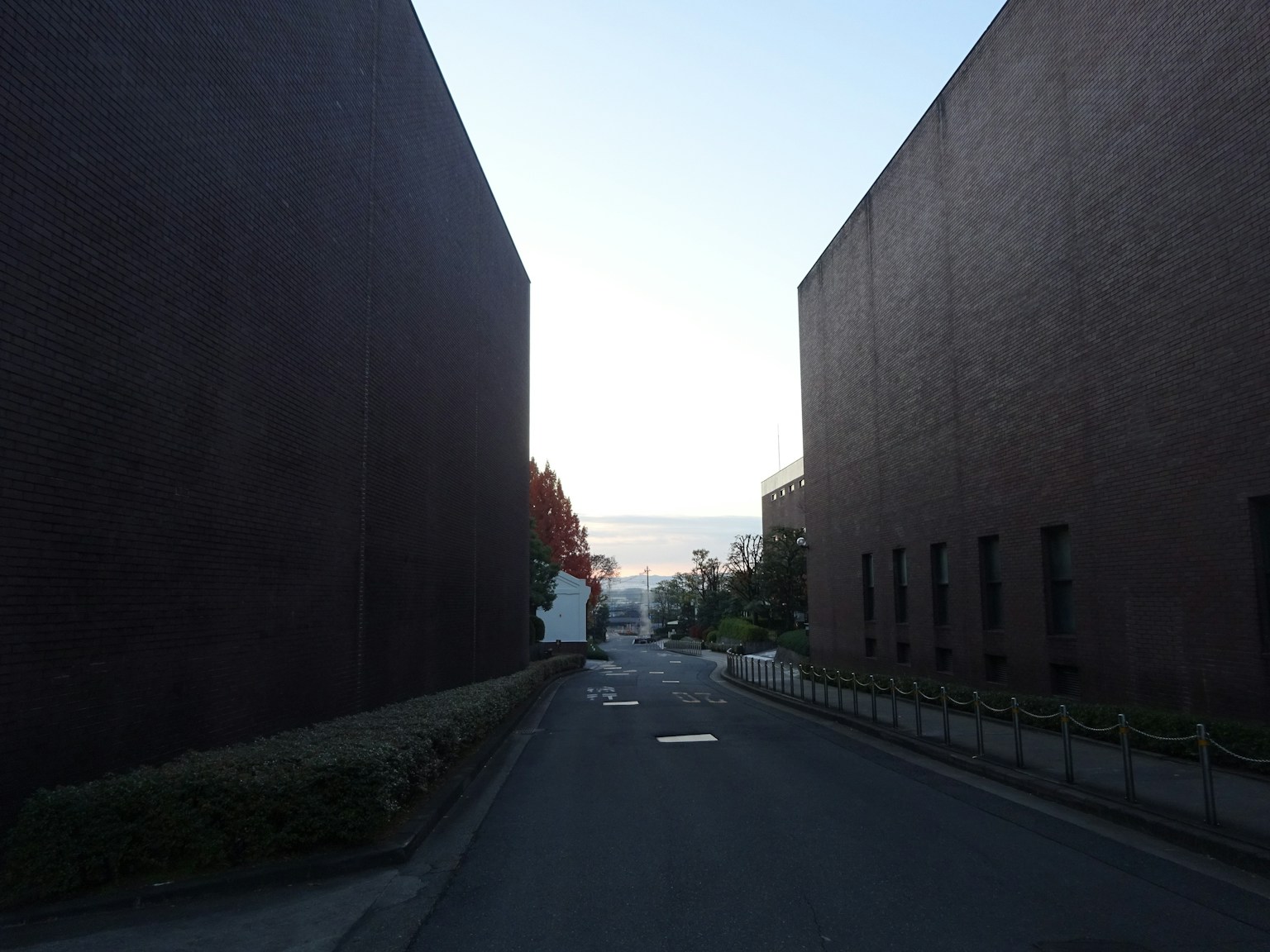 安靜的街道被高樓包圍，前方可見遠處的景色