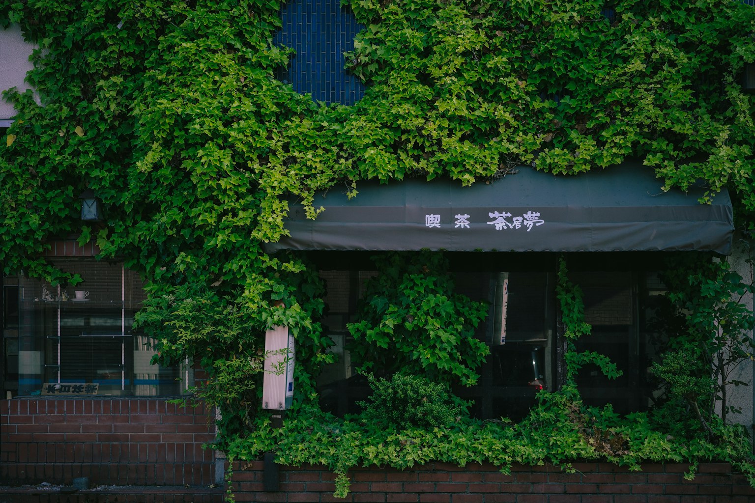 Extérieur de café recouvert de feuilles vertes avec un panneau
