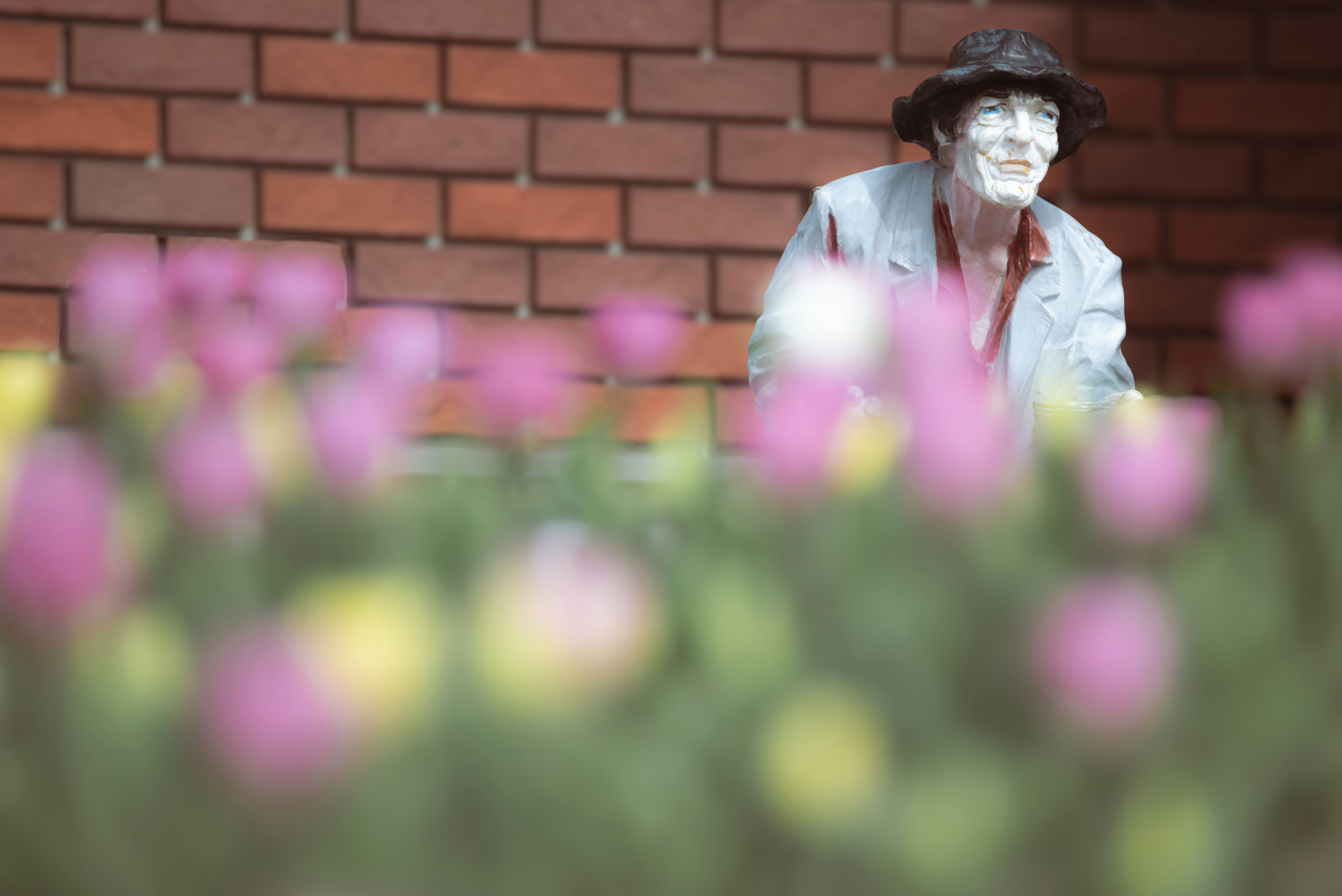 戴口罩的男子在郁金香花丛中寻找花朵