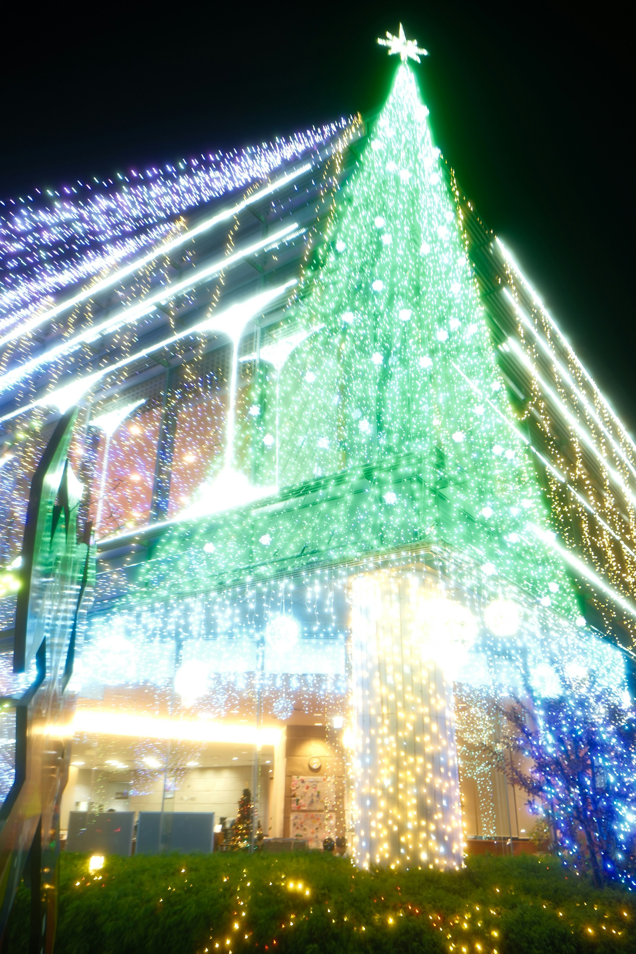 宮崎県都城市のイルミネーションで彩られた大きなツリーの夜景