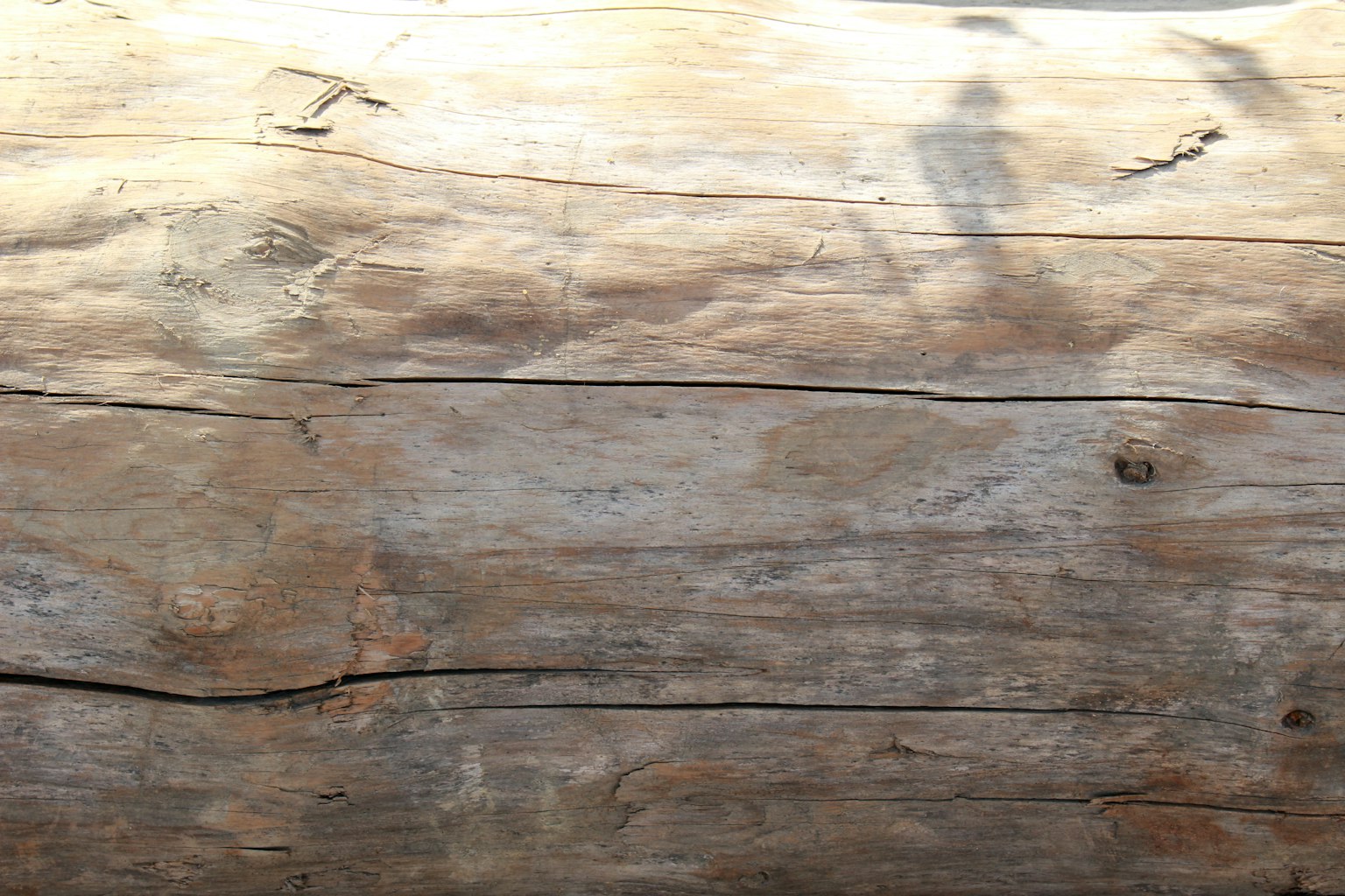 Primer plano de un tronco de madera texturizado con patrones naturales
