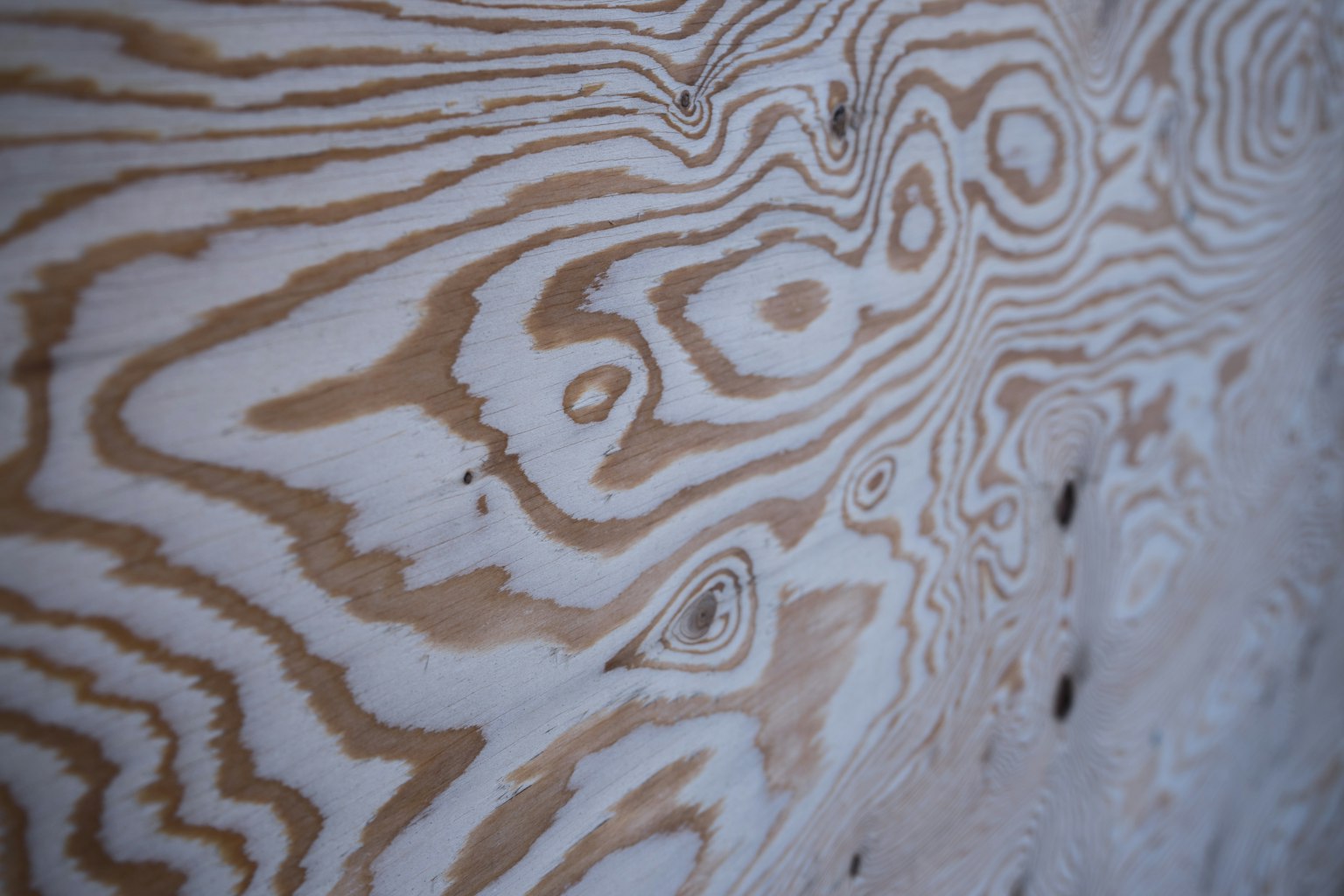 Primo piano di legno bianco con venature elegantemente decorate