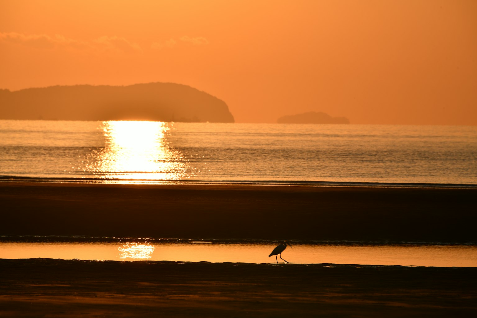 Silhouette eines Vogels am Strand mit Sonnenuntergang, der sich im Wasser spiegelt