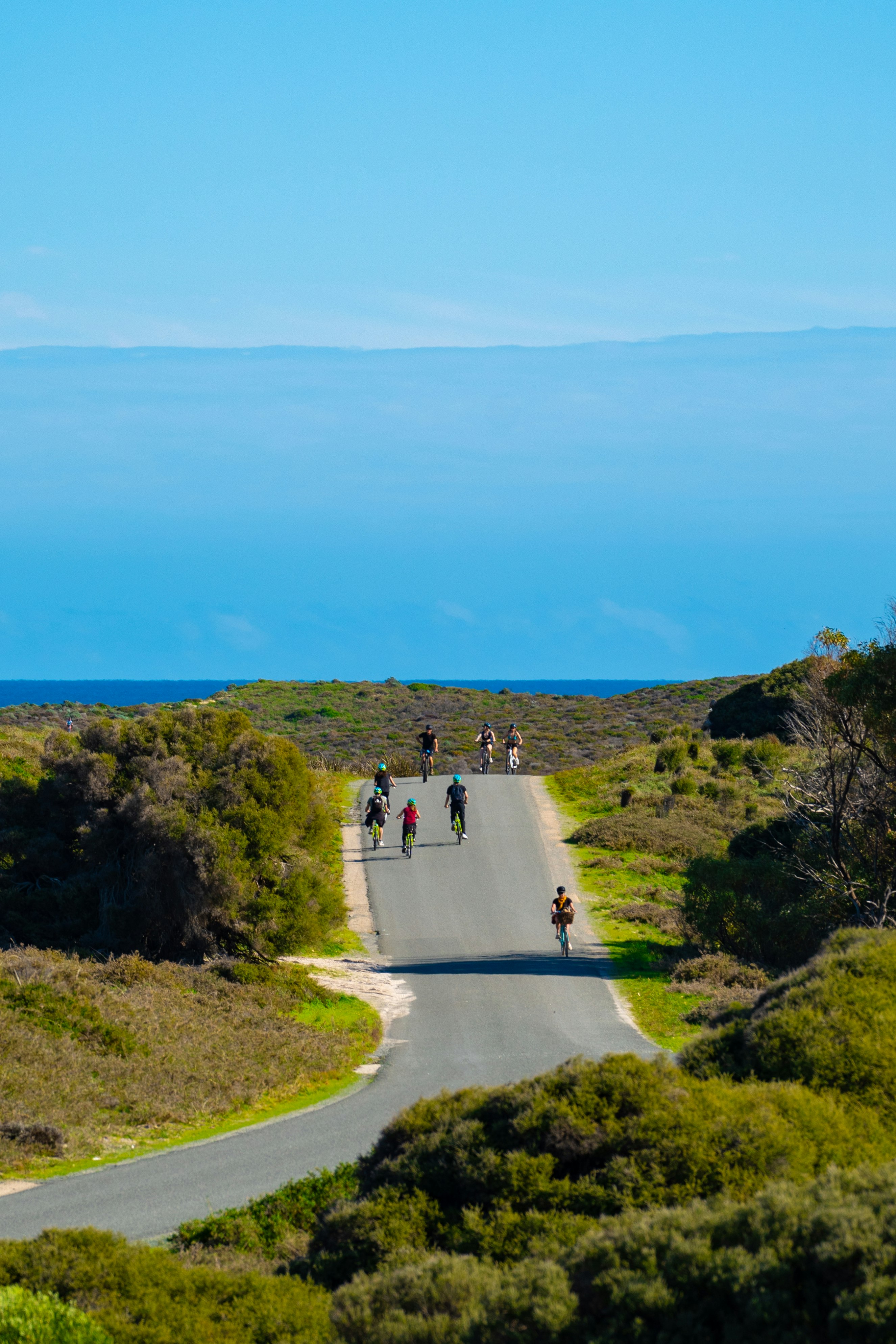 People walking along a path through low shrubs on a hillside image