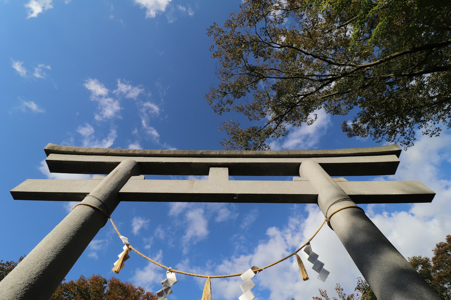 Portale torii con shimenawa sotto un cielo blu