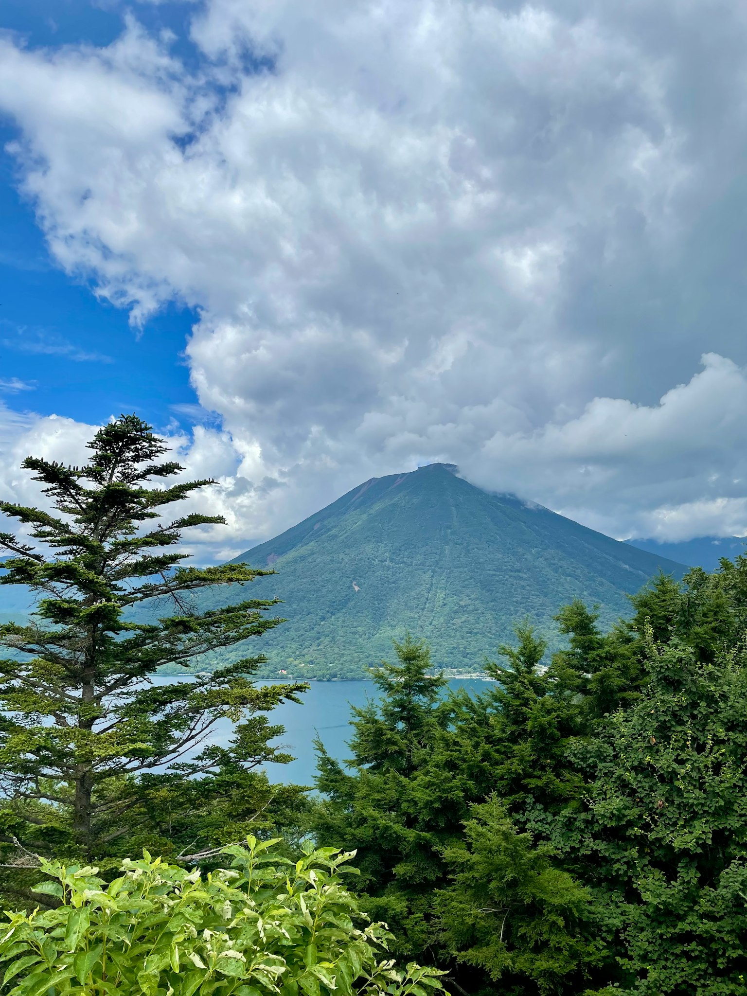 郁郁葱葱的风景，背景是湖泊和山脉