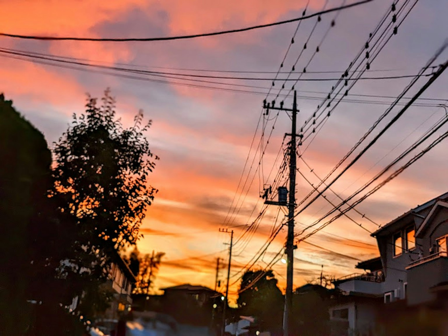 Ciel de coucher de soleil vibrant avec des lignes électriques et des arbres en silhouette