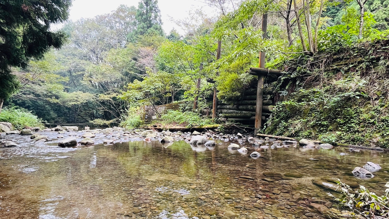 宁静的河流景观，周围环绕着茂密的绿色植物和岩石河床